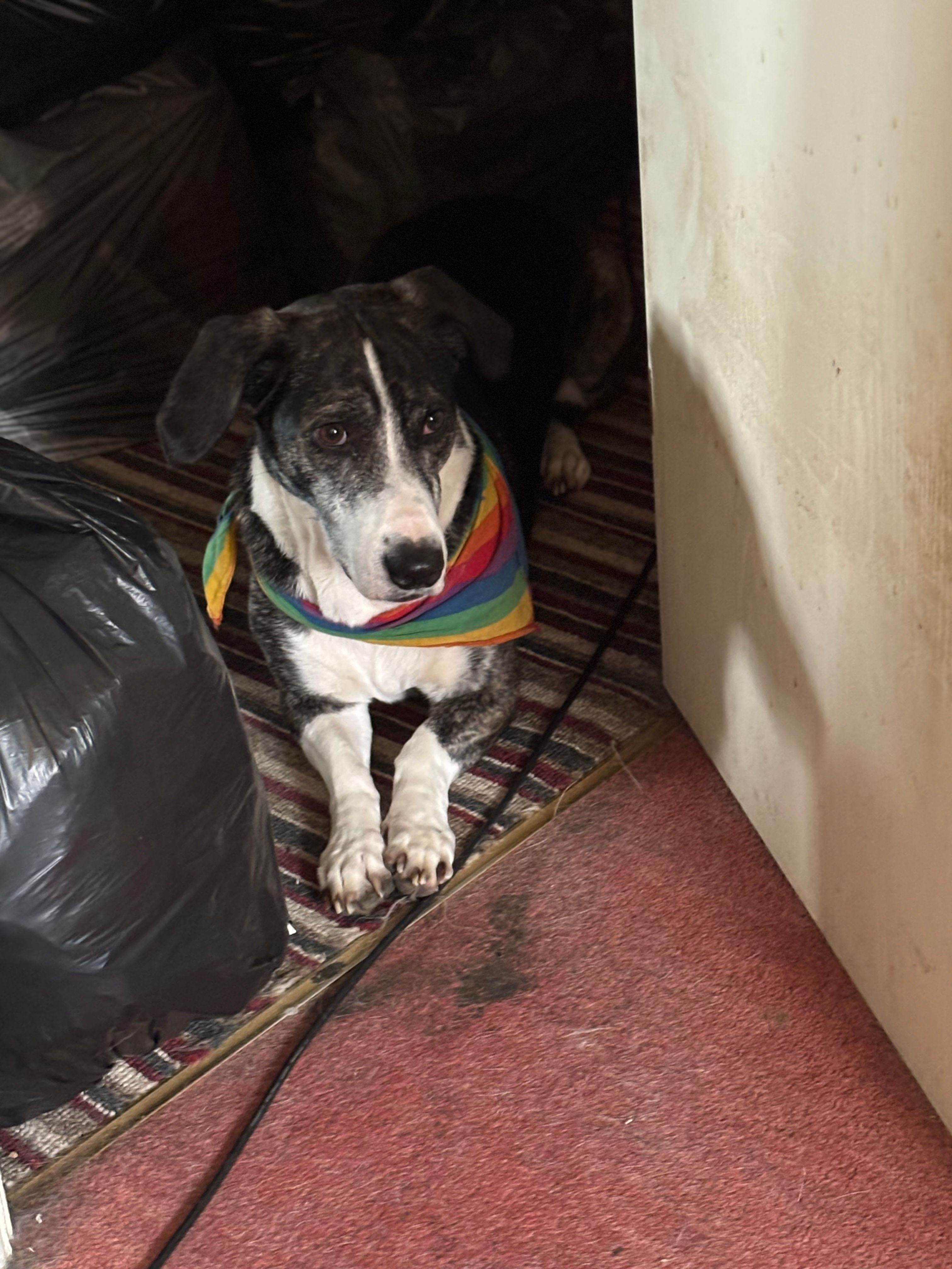 image-7