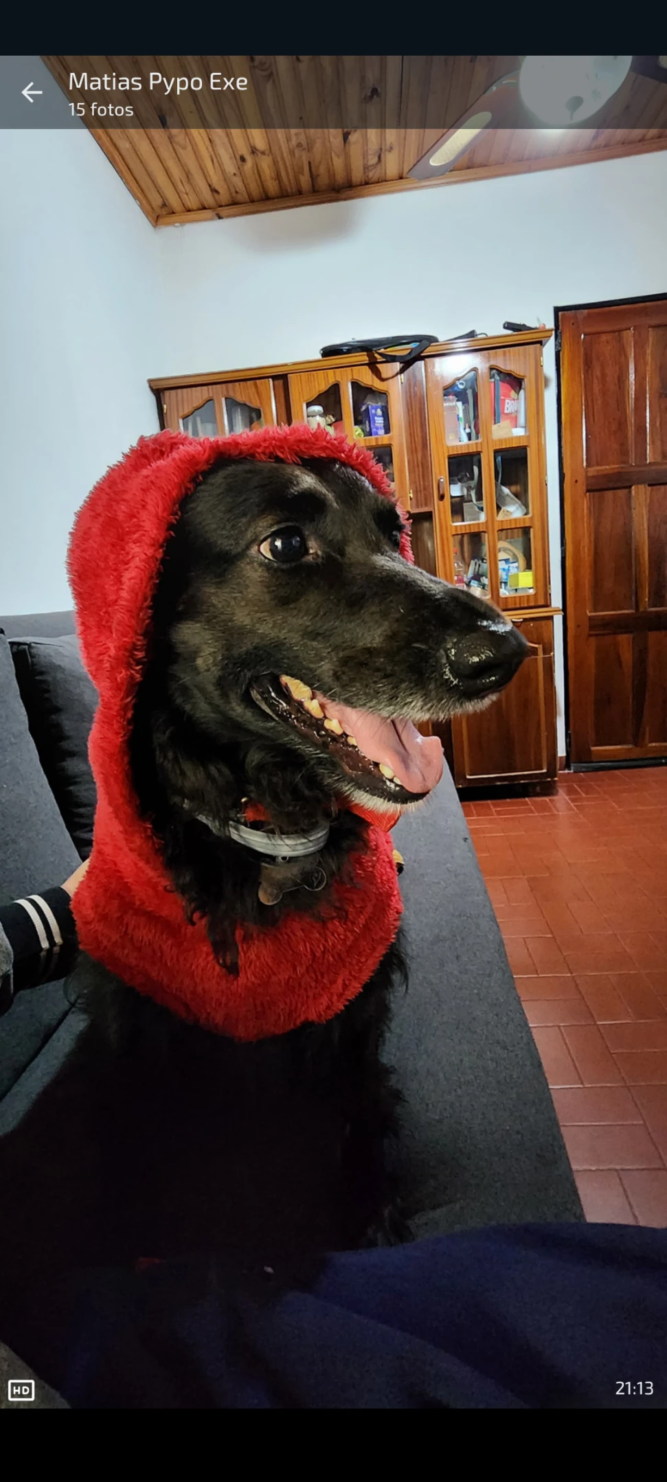 image-11
