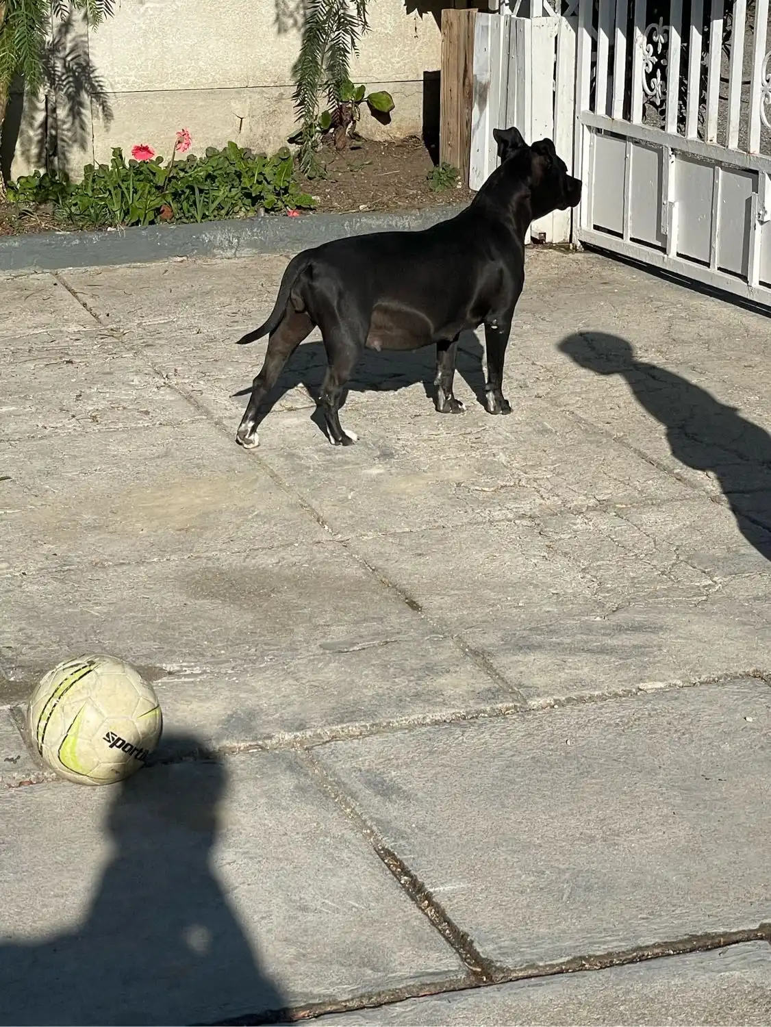 image-5