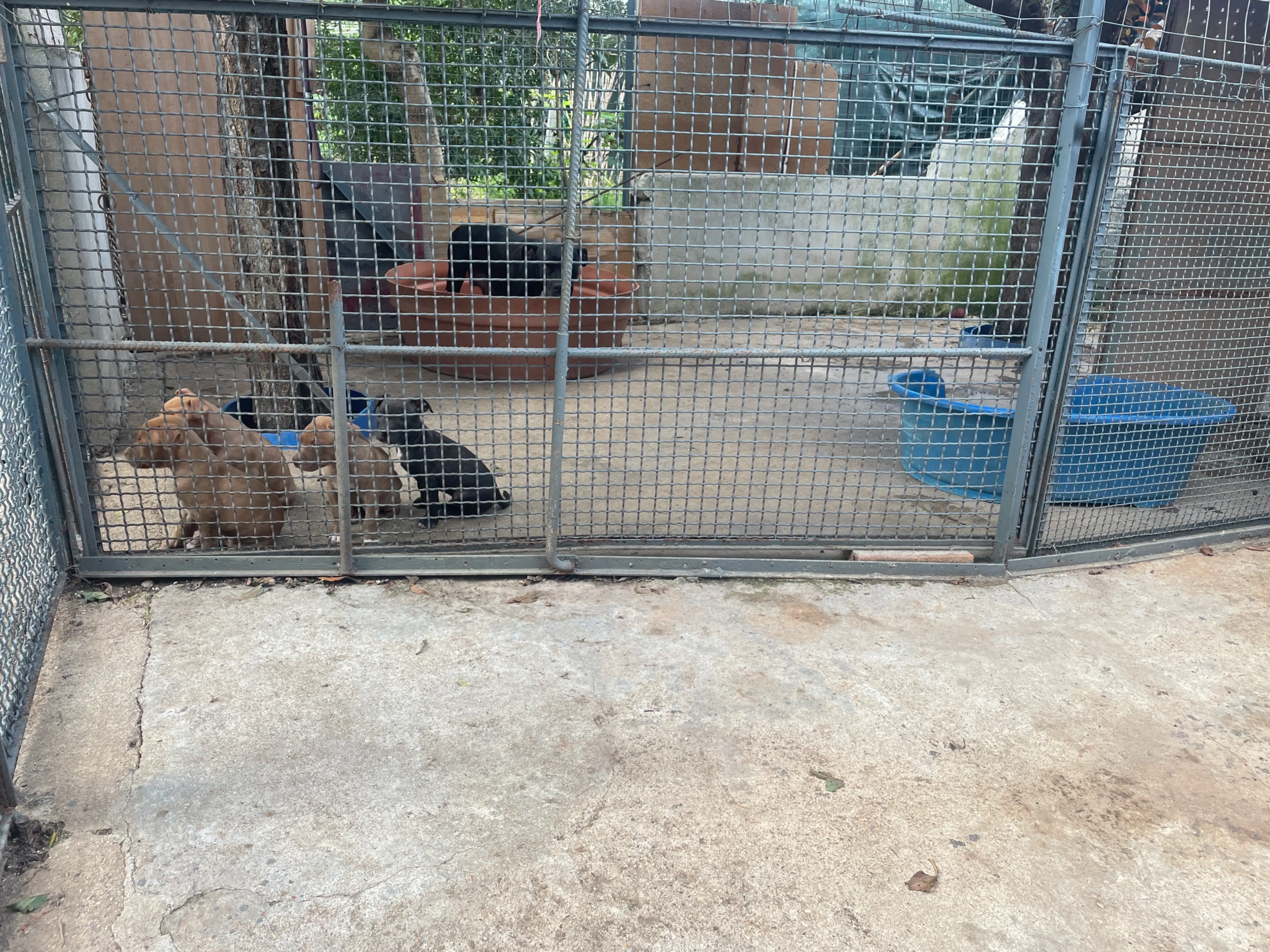 image-4