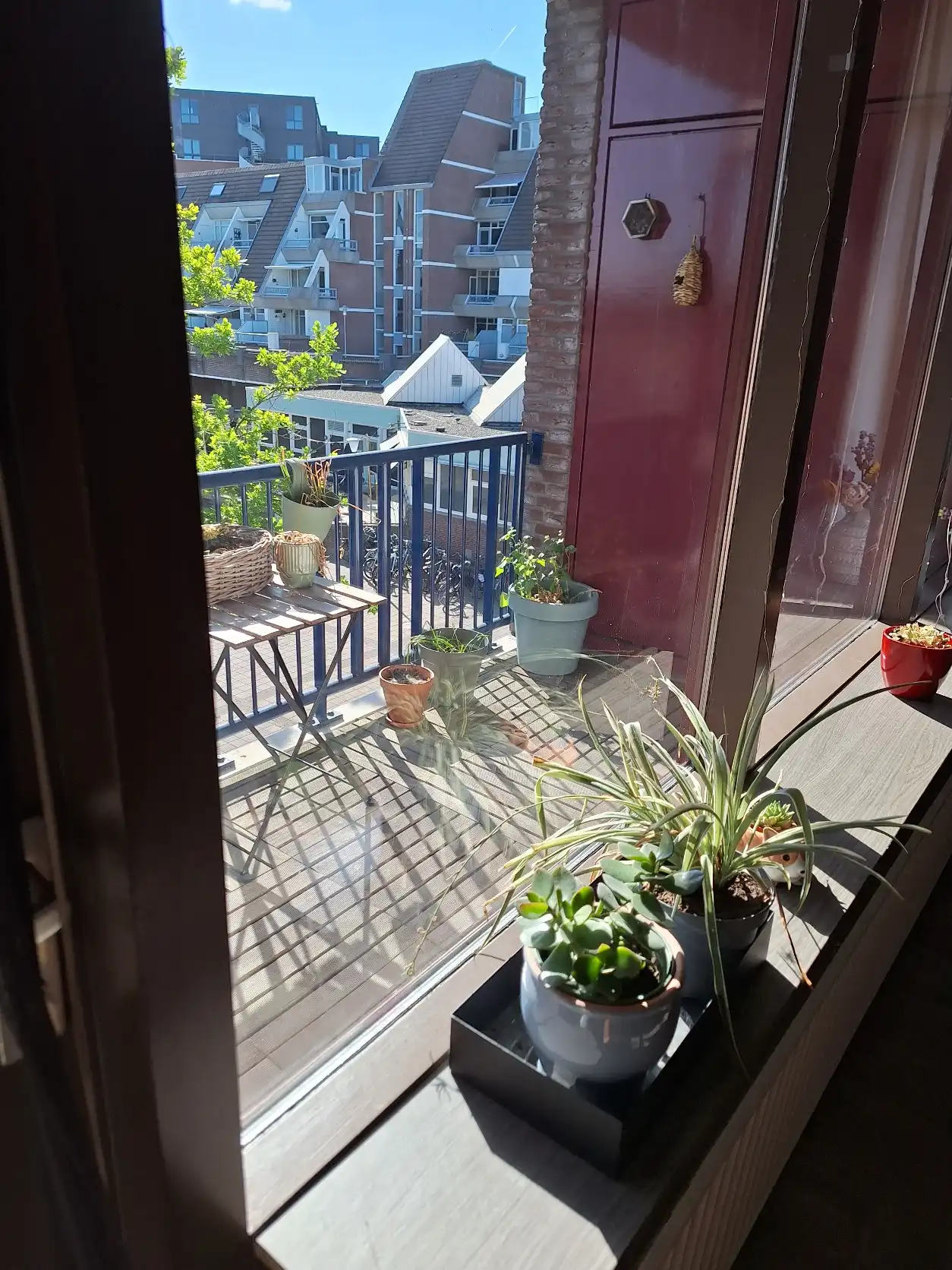 image-17