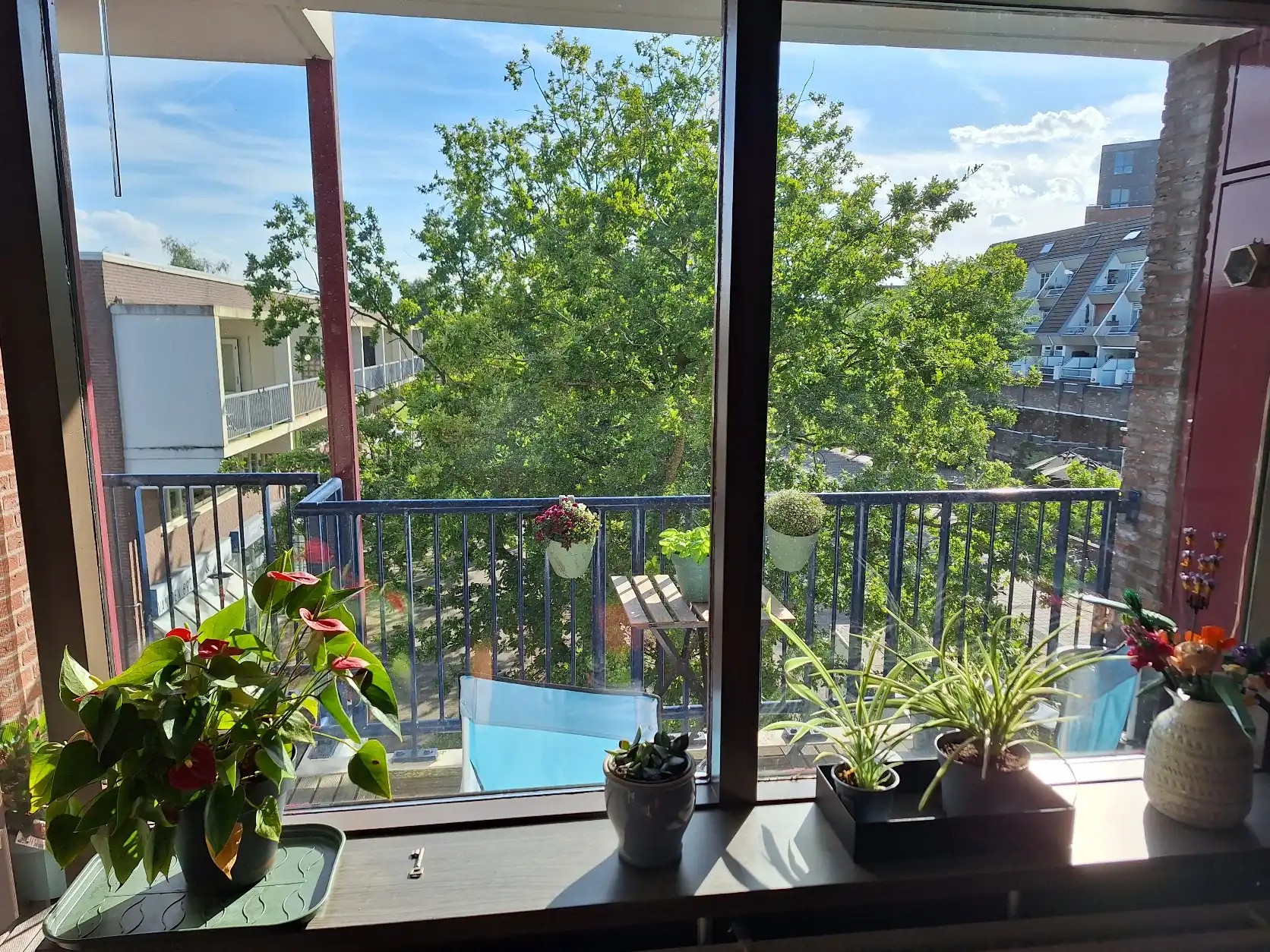 image-15