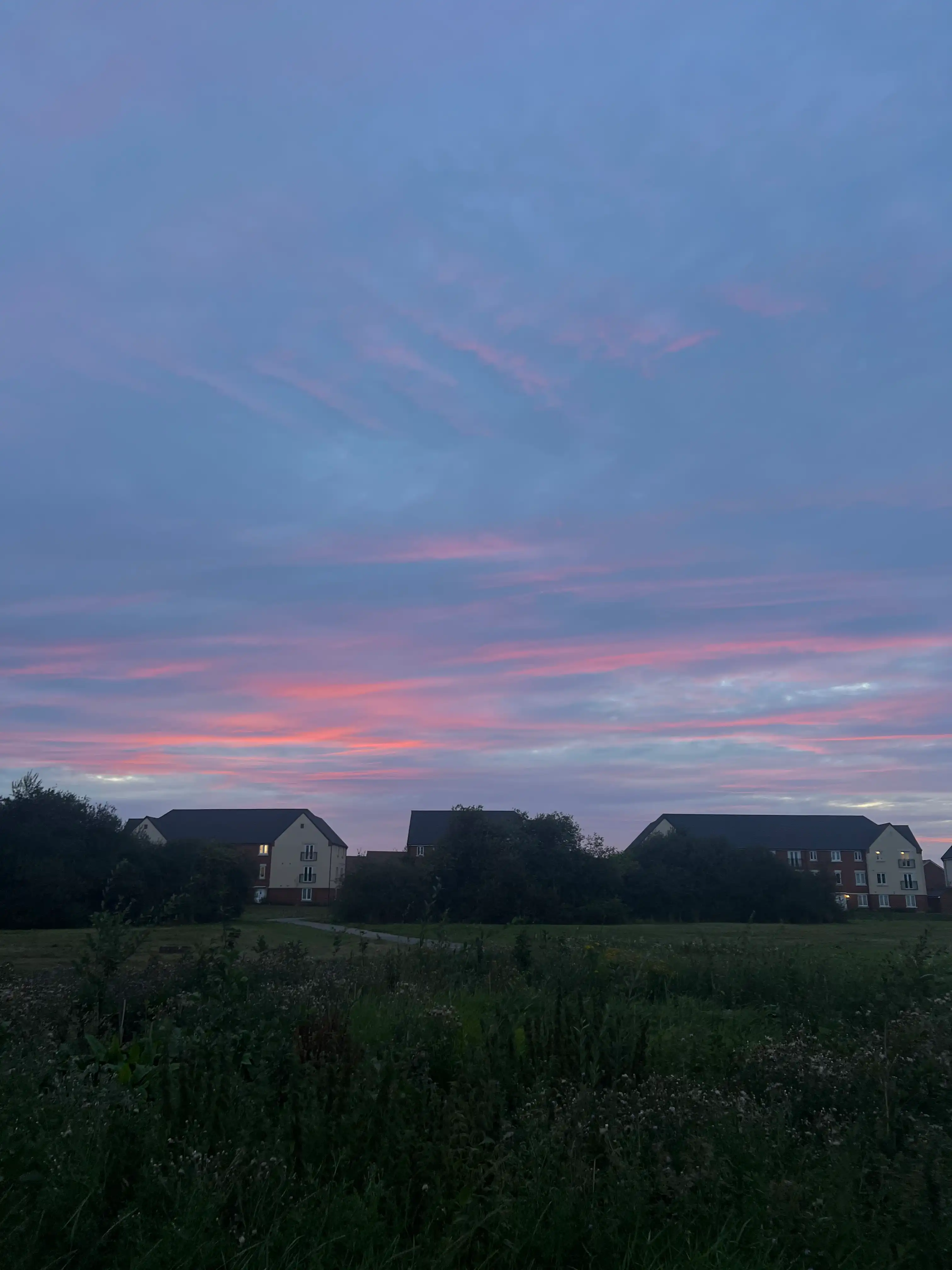 image-23