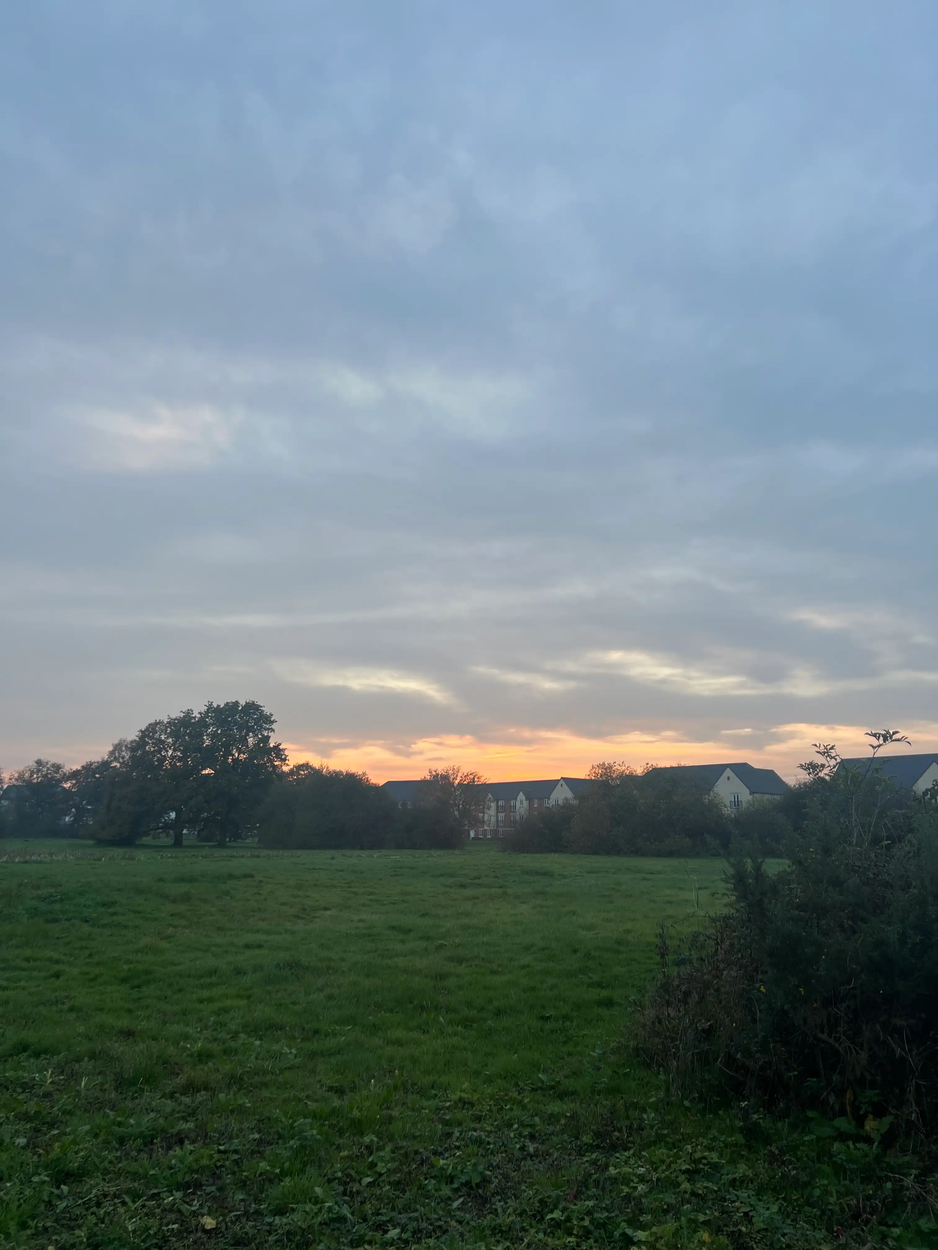 image-24