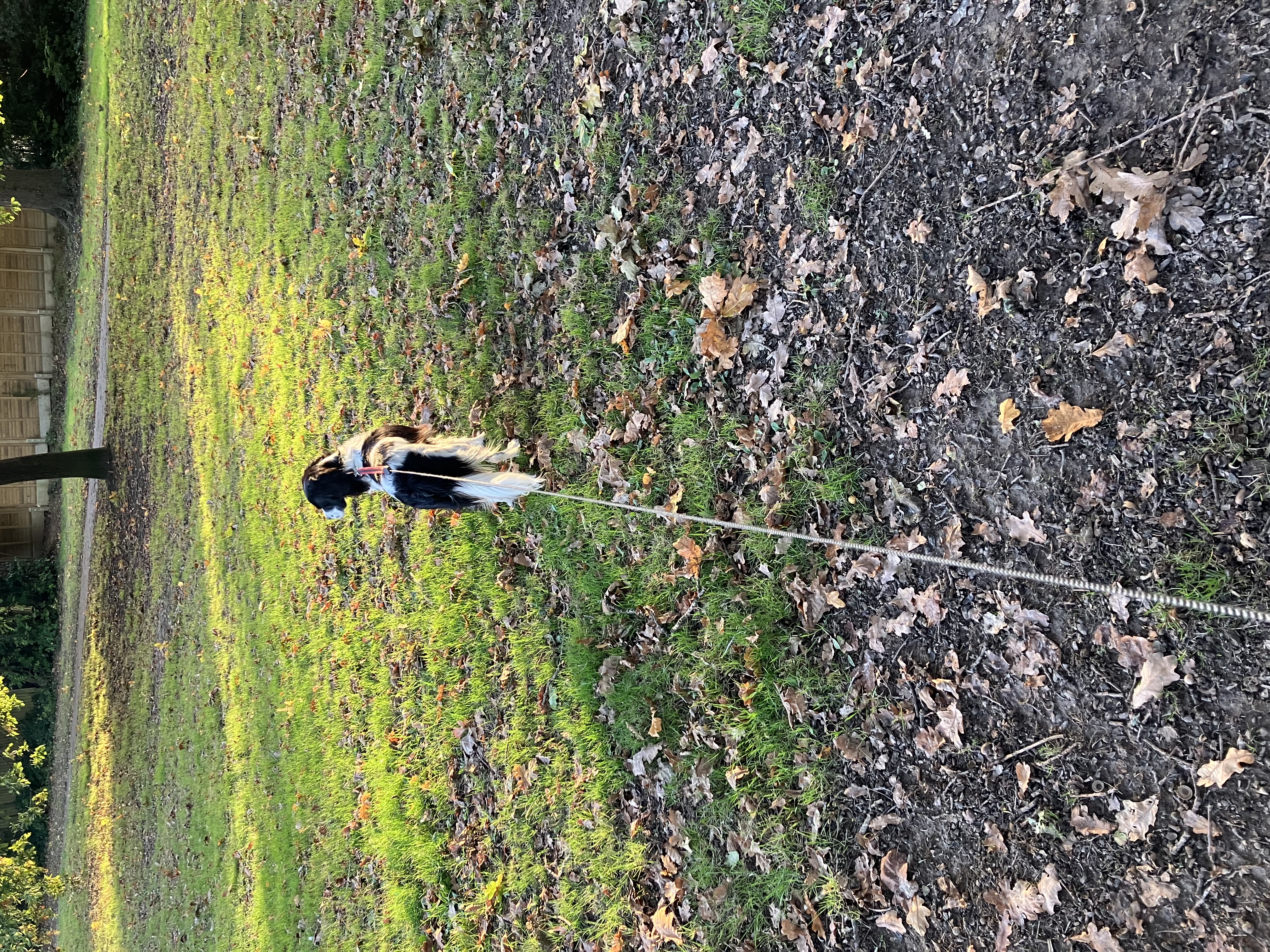 image-8