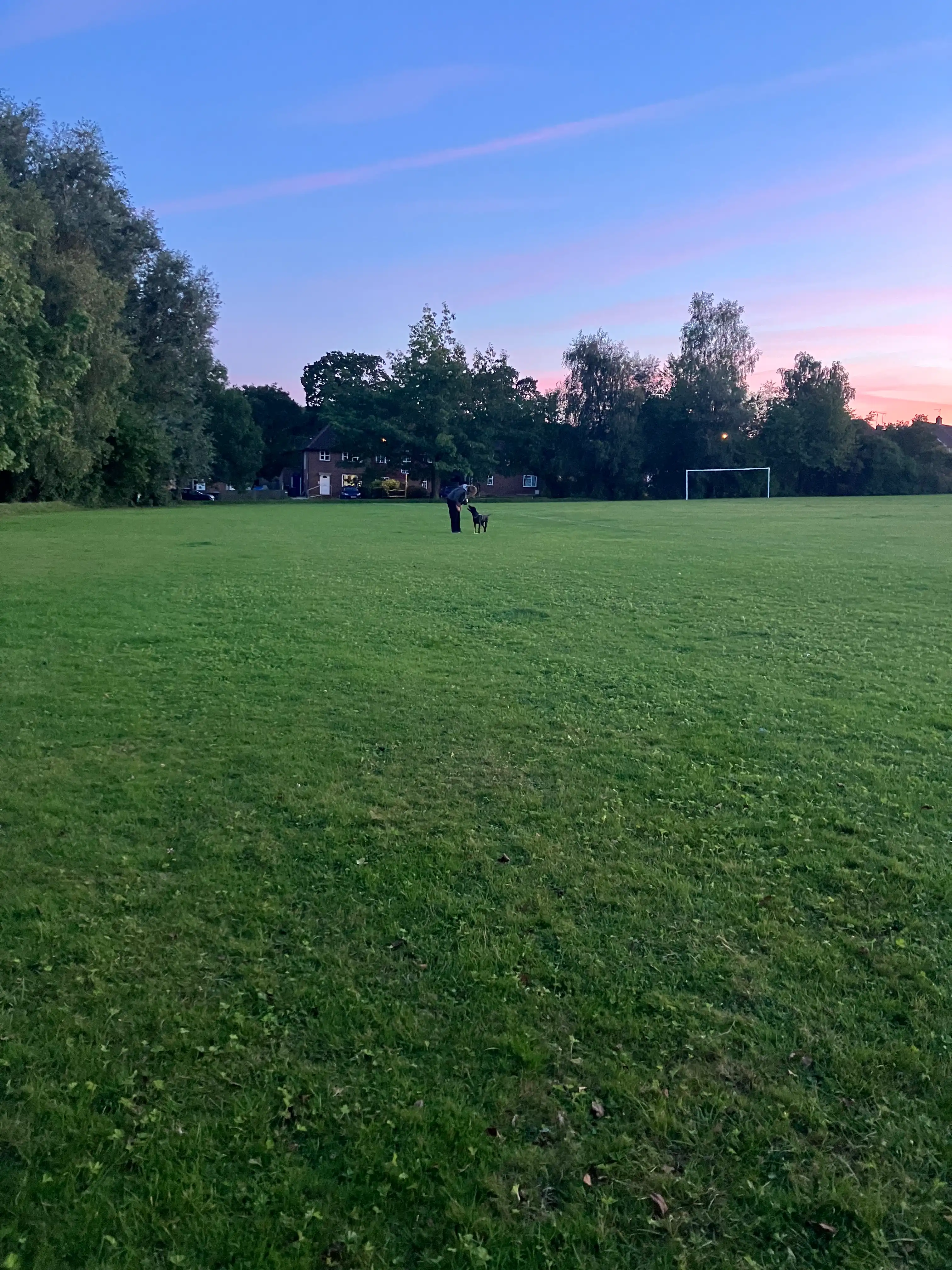 image-18