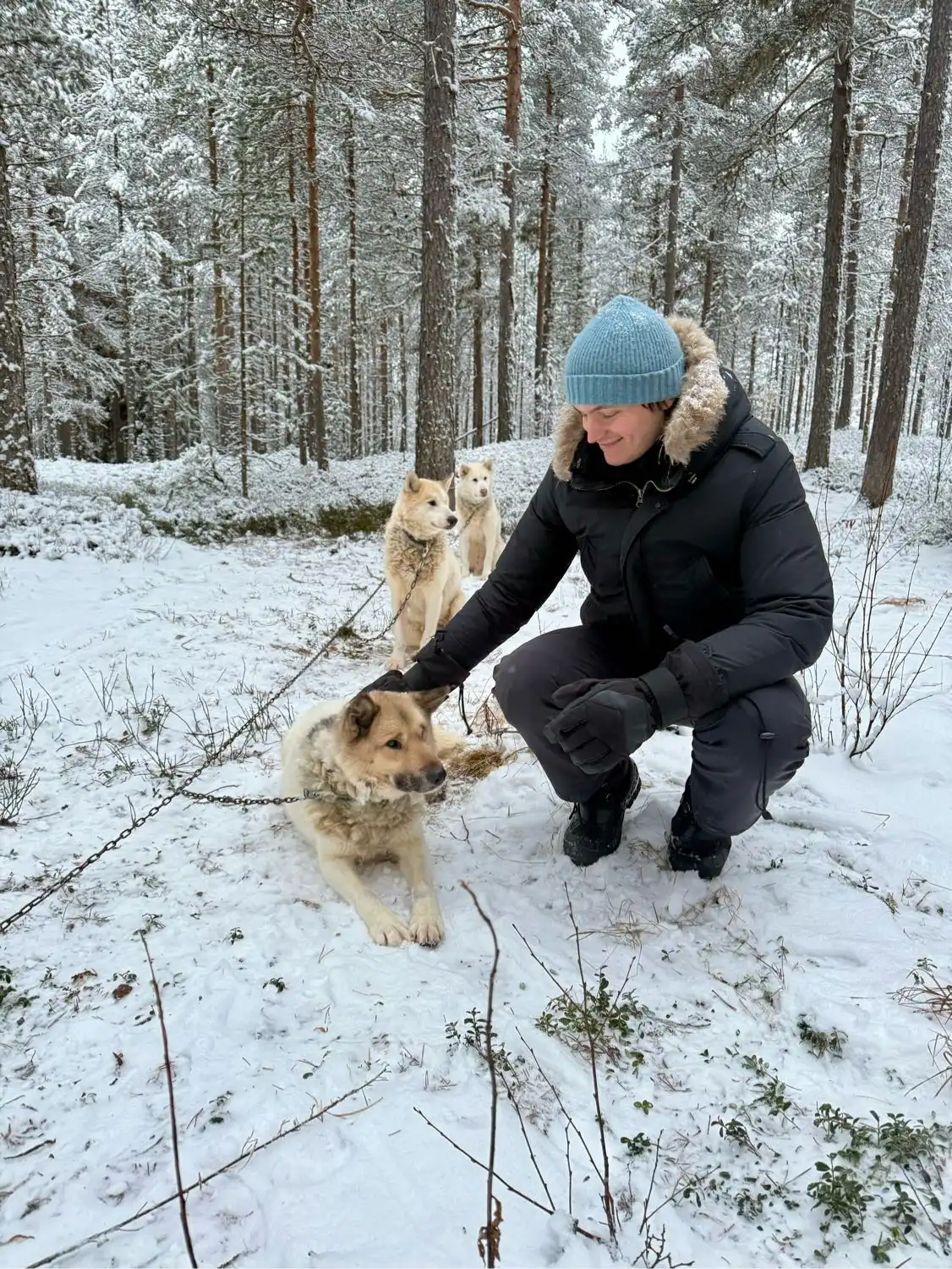 image-8