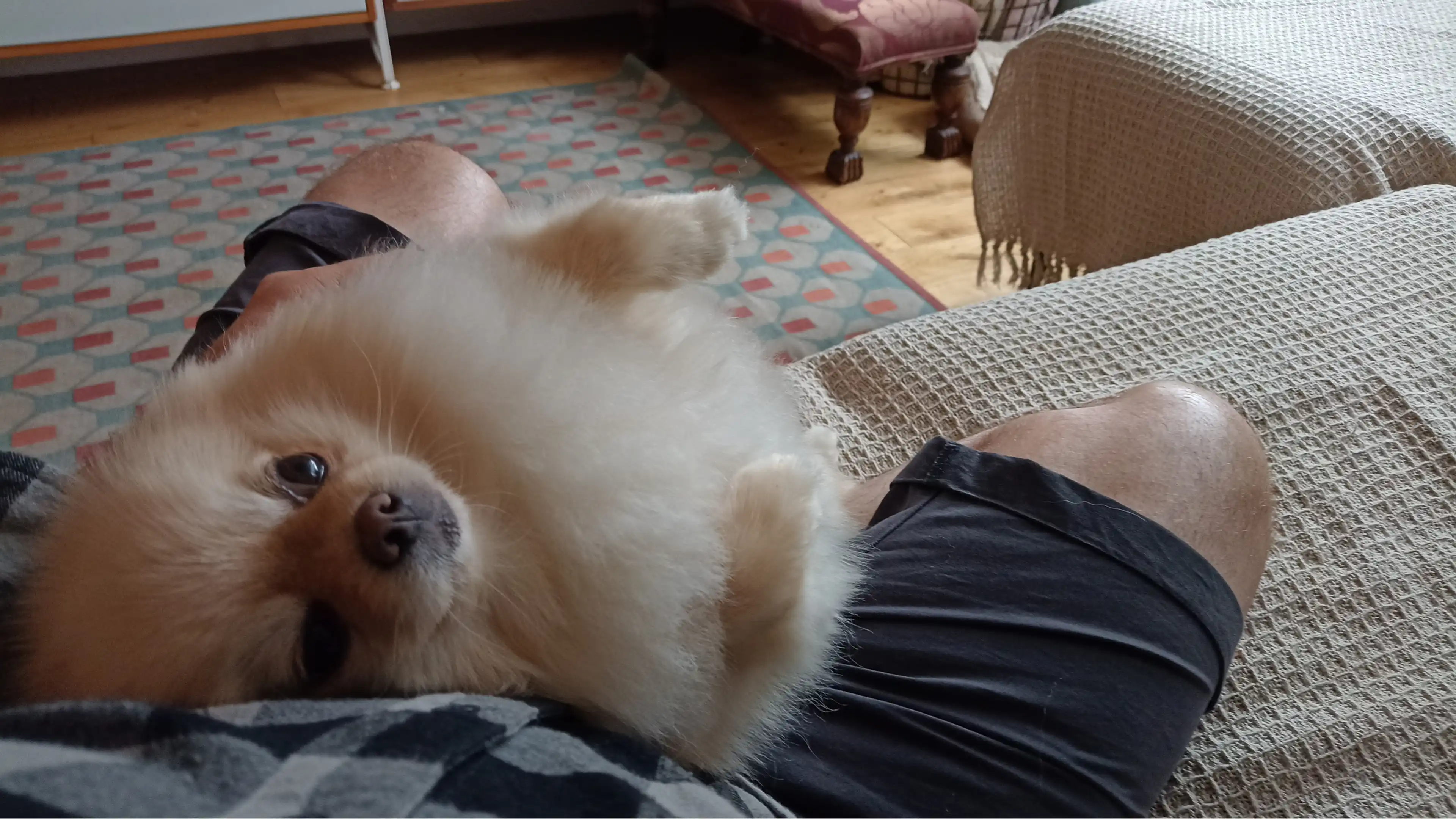 image-7