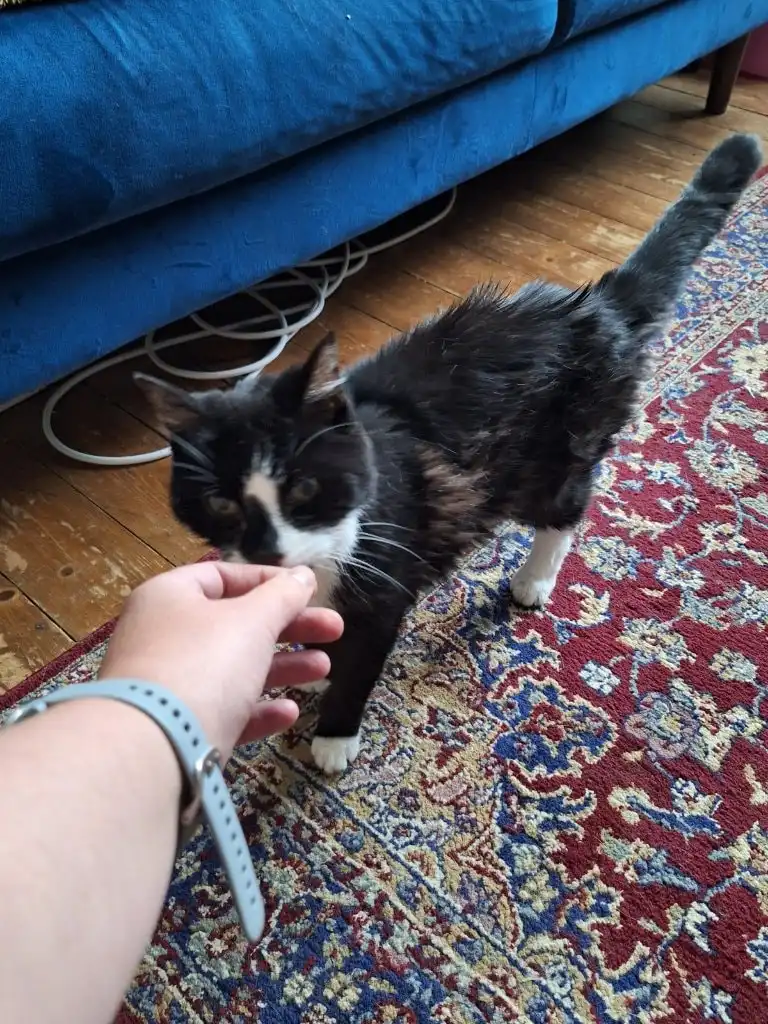 image-9
