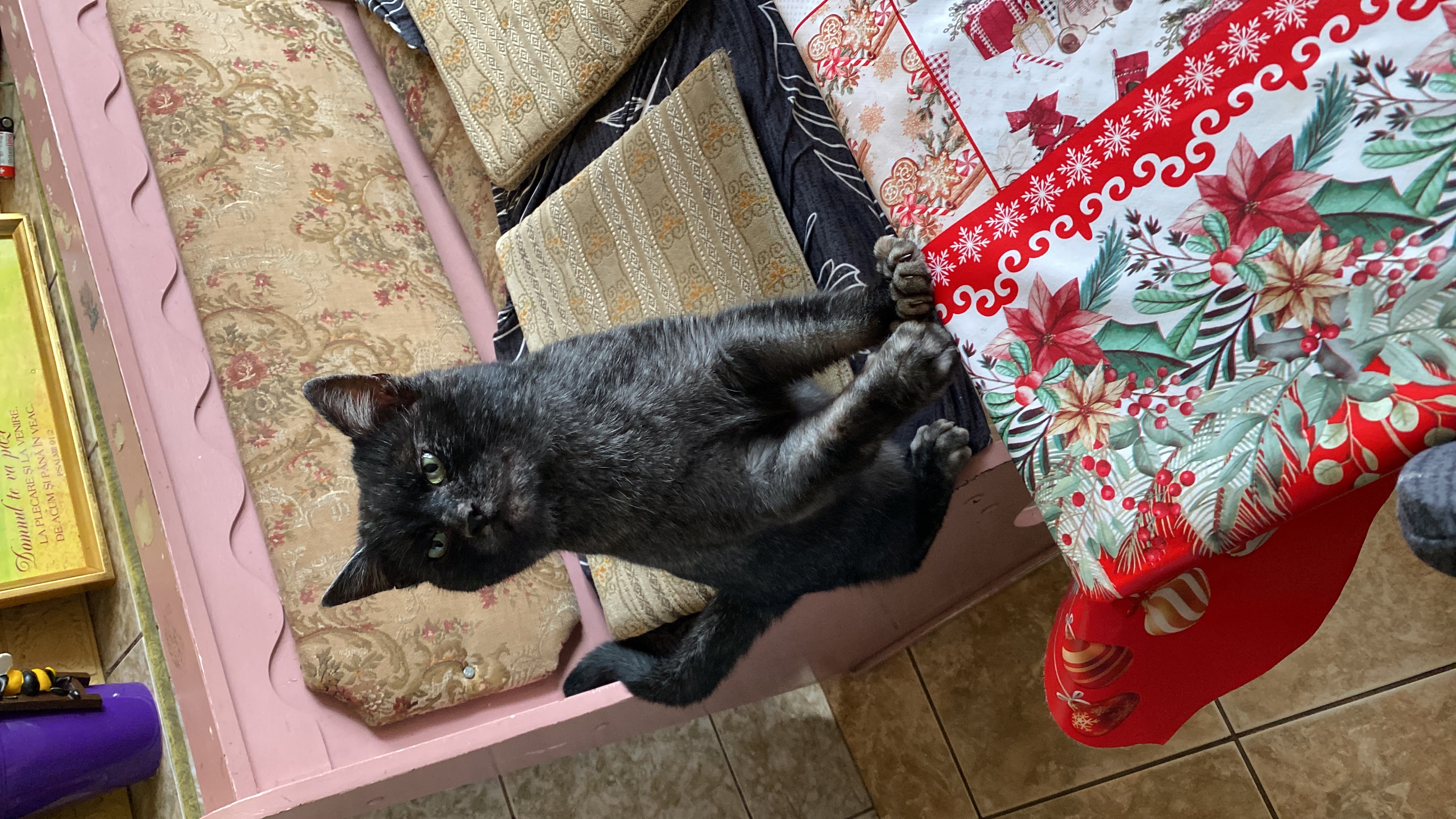 image-11