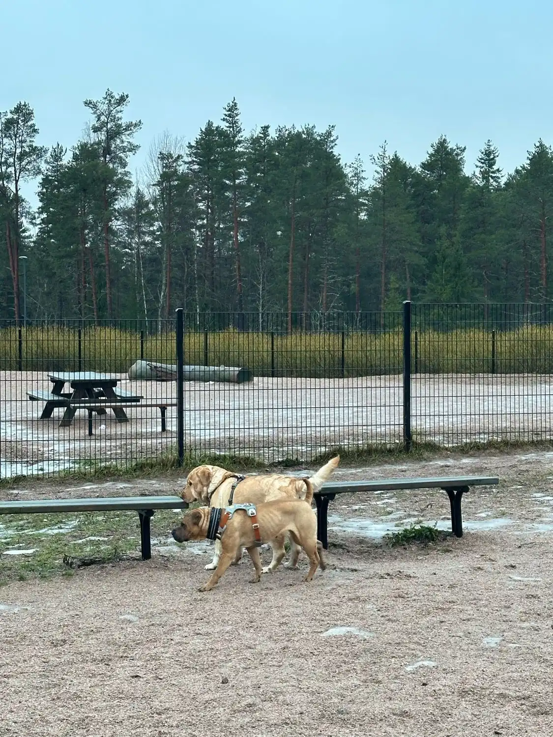 image-16