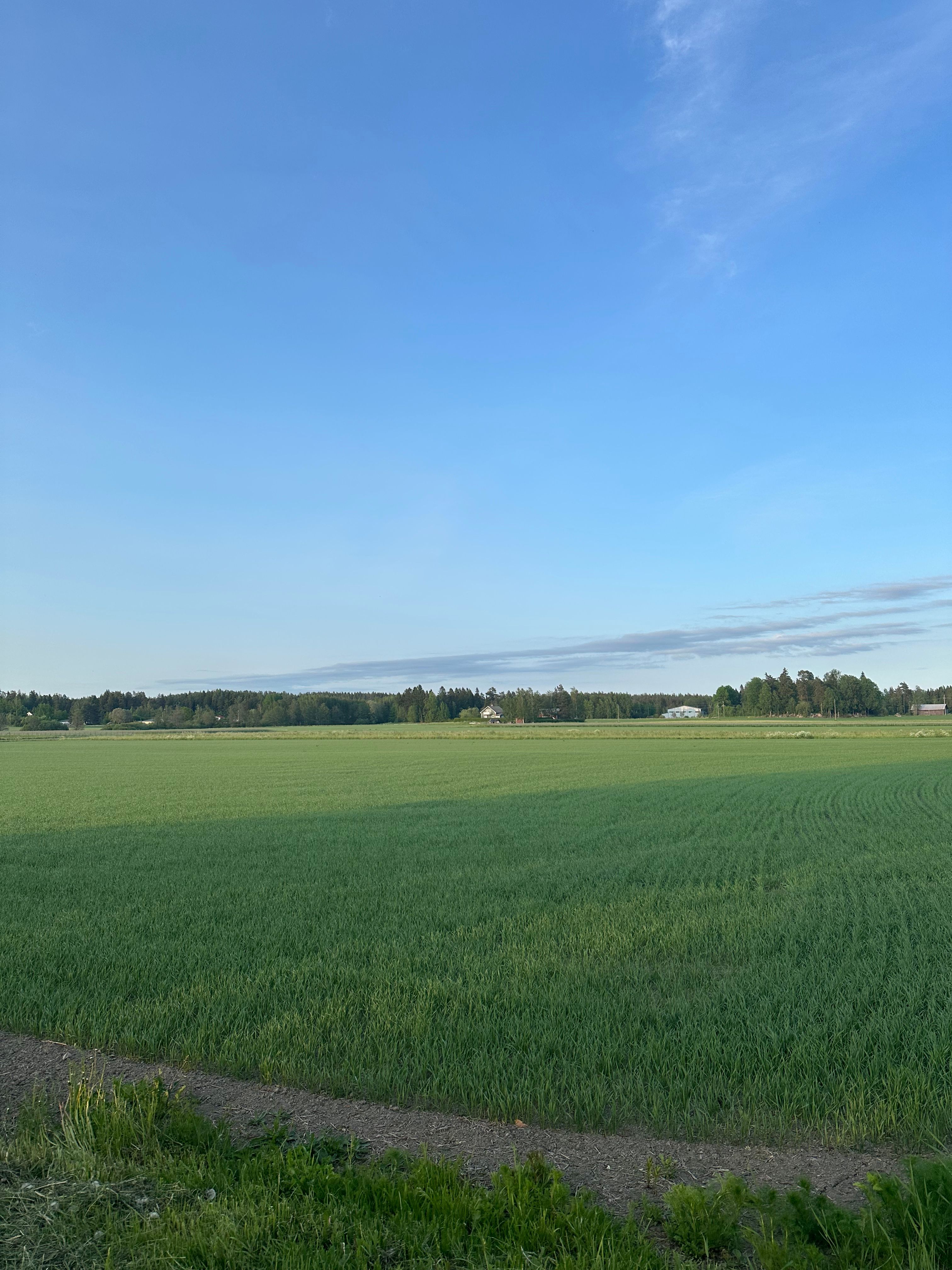 image-35