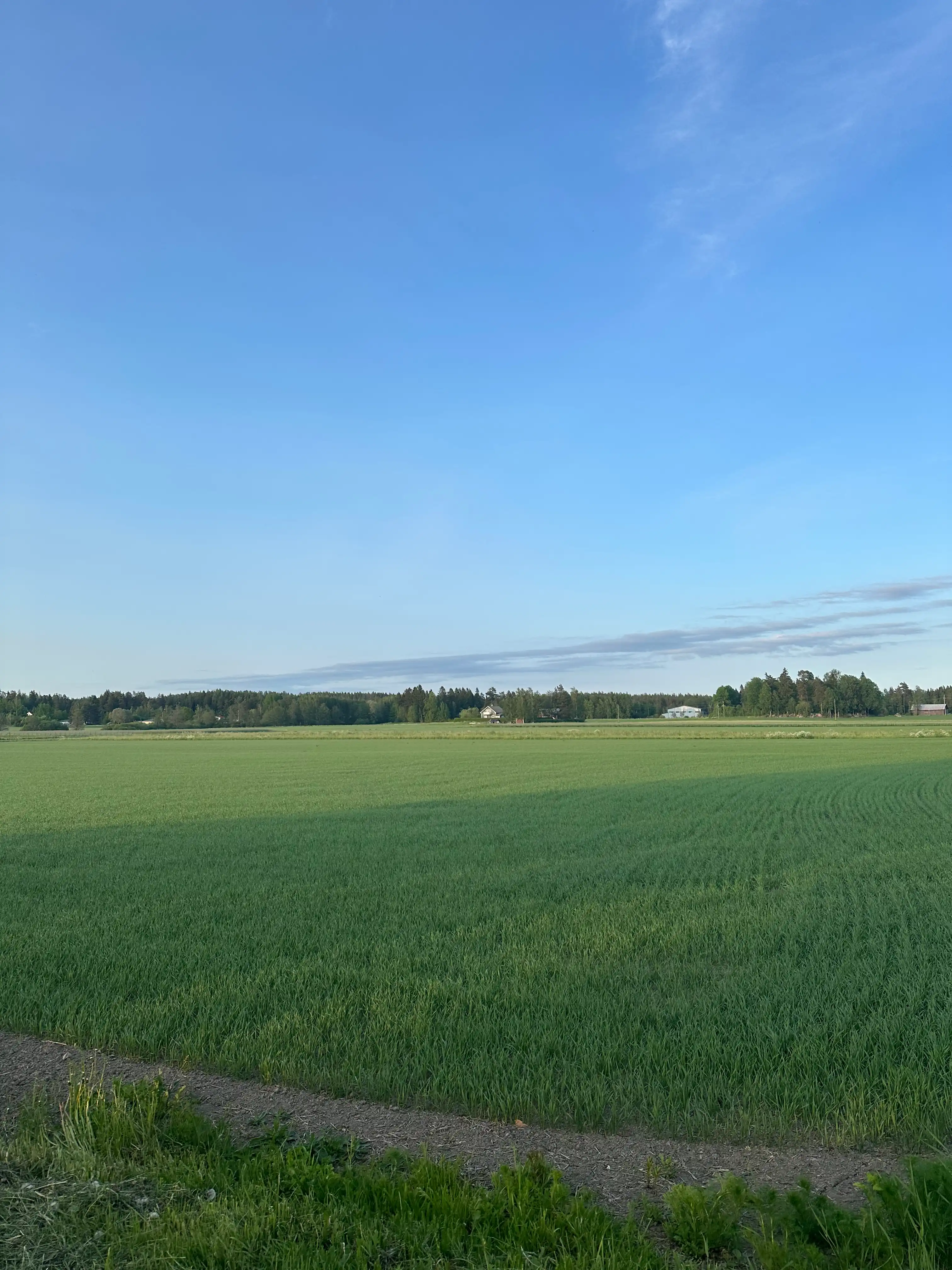 image-35
