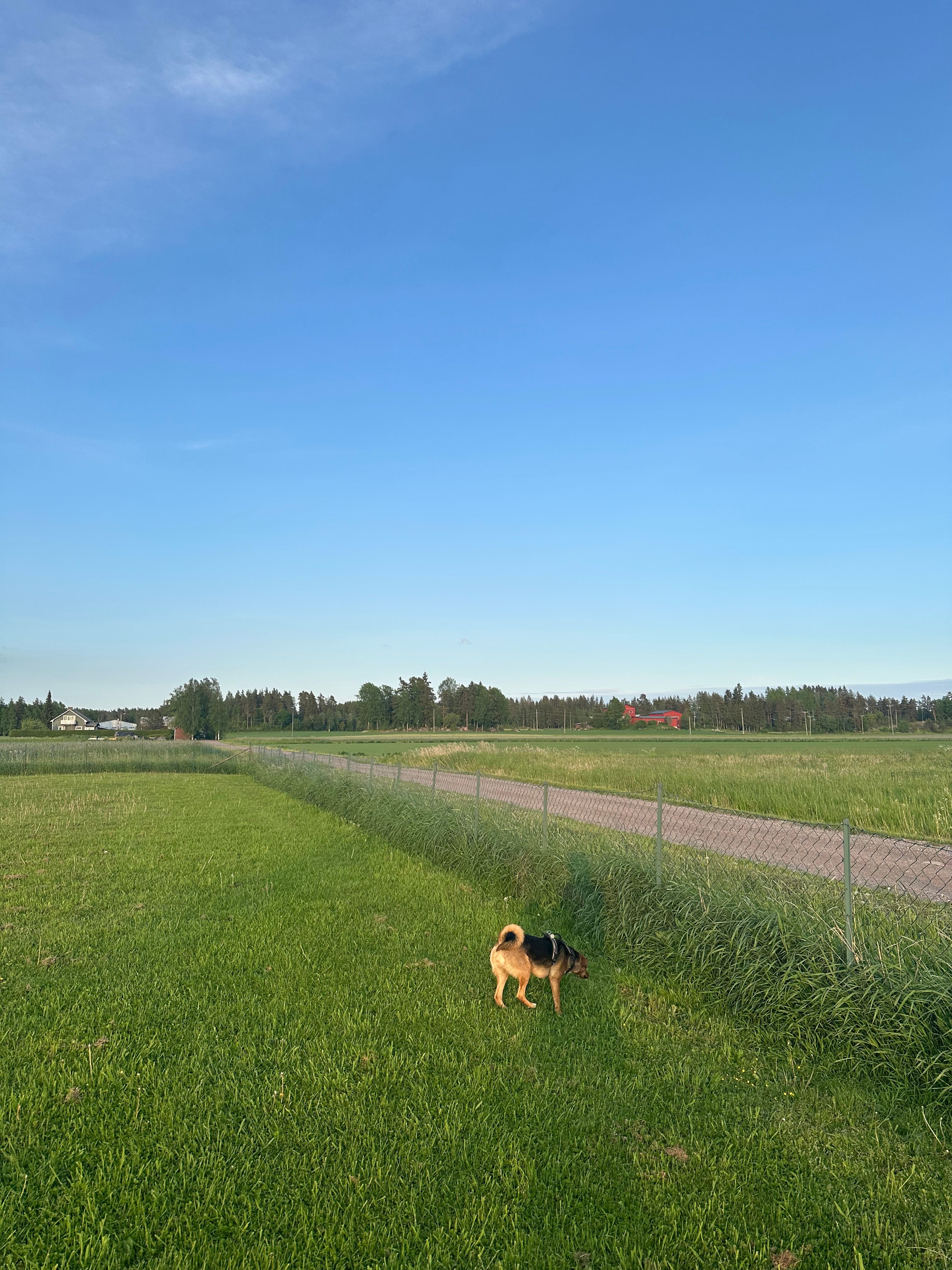 image-32