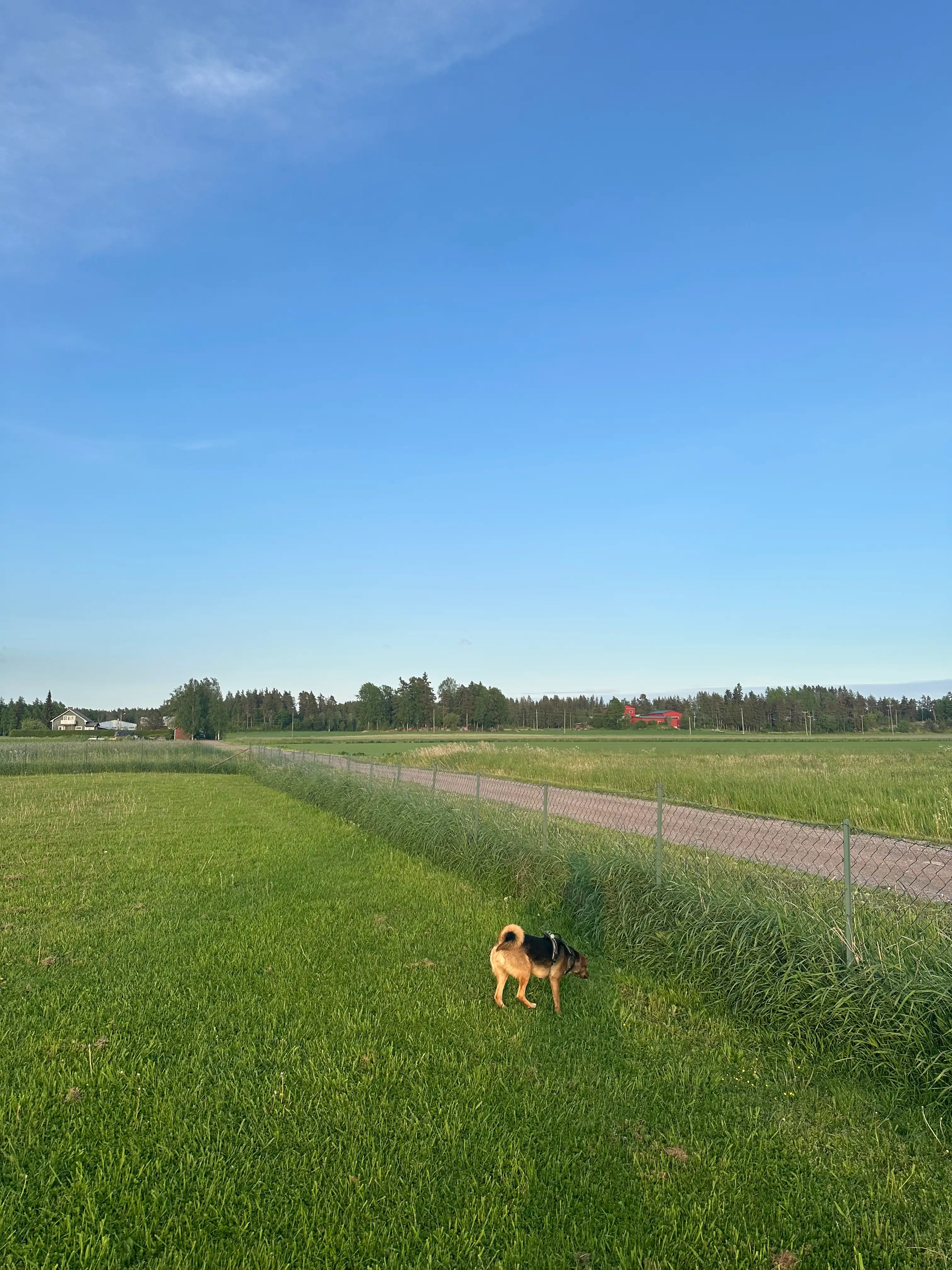 image-32
