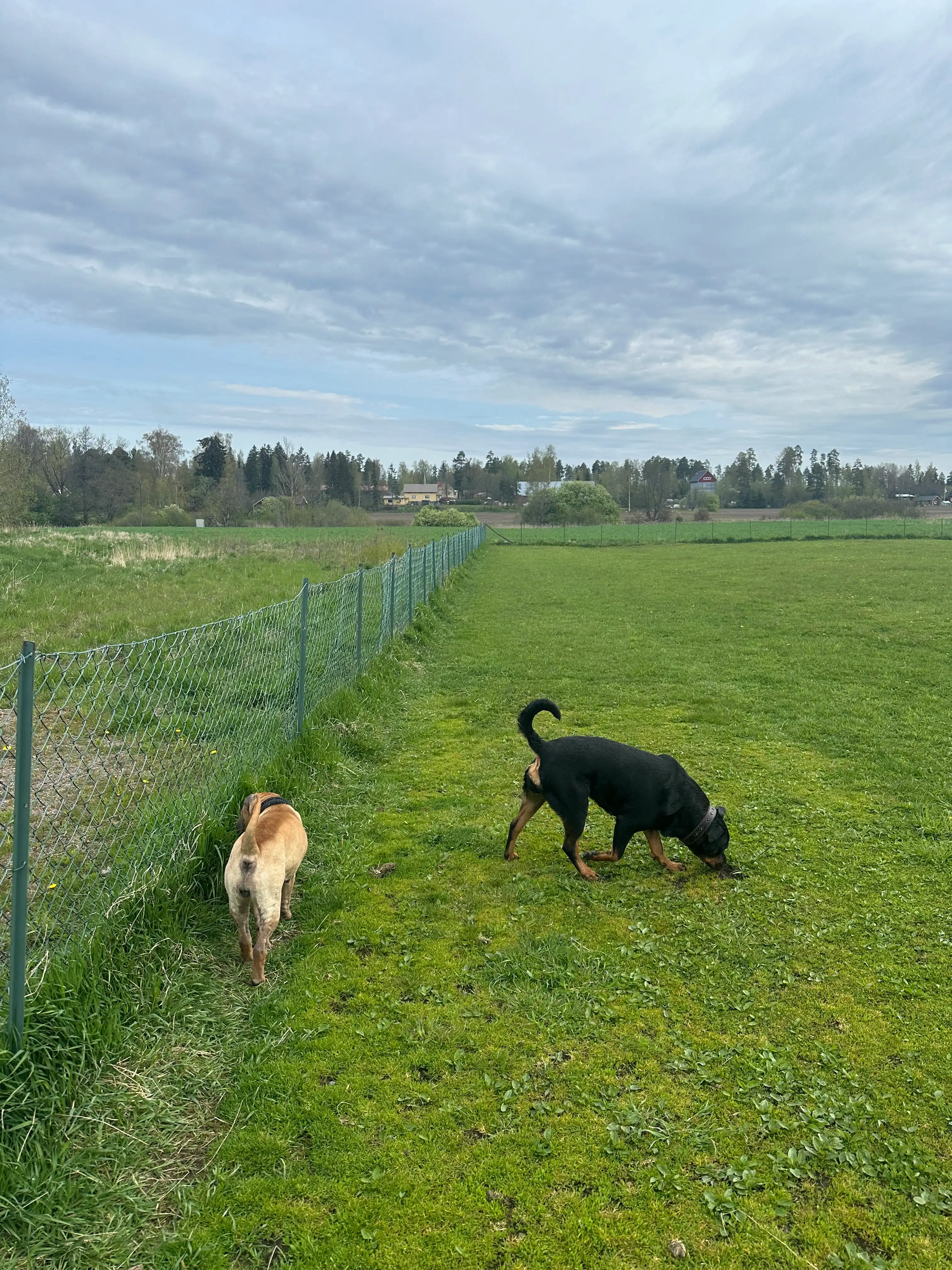 image-26