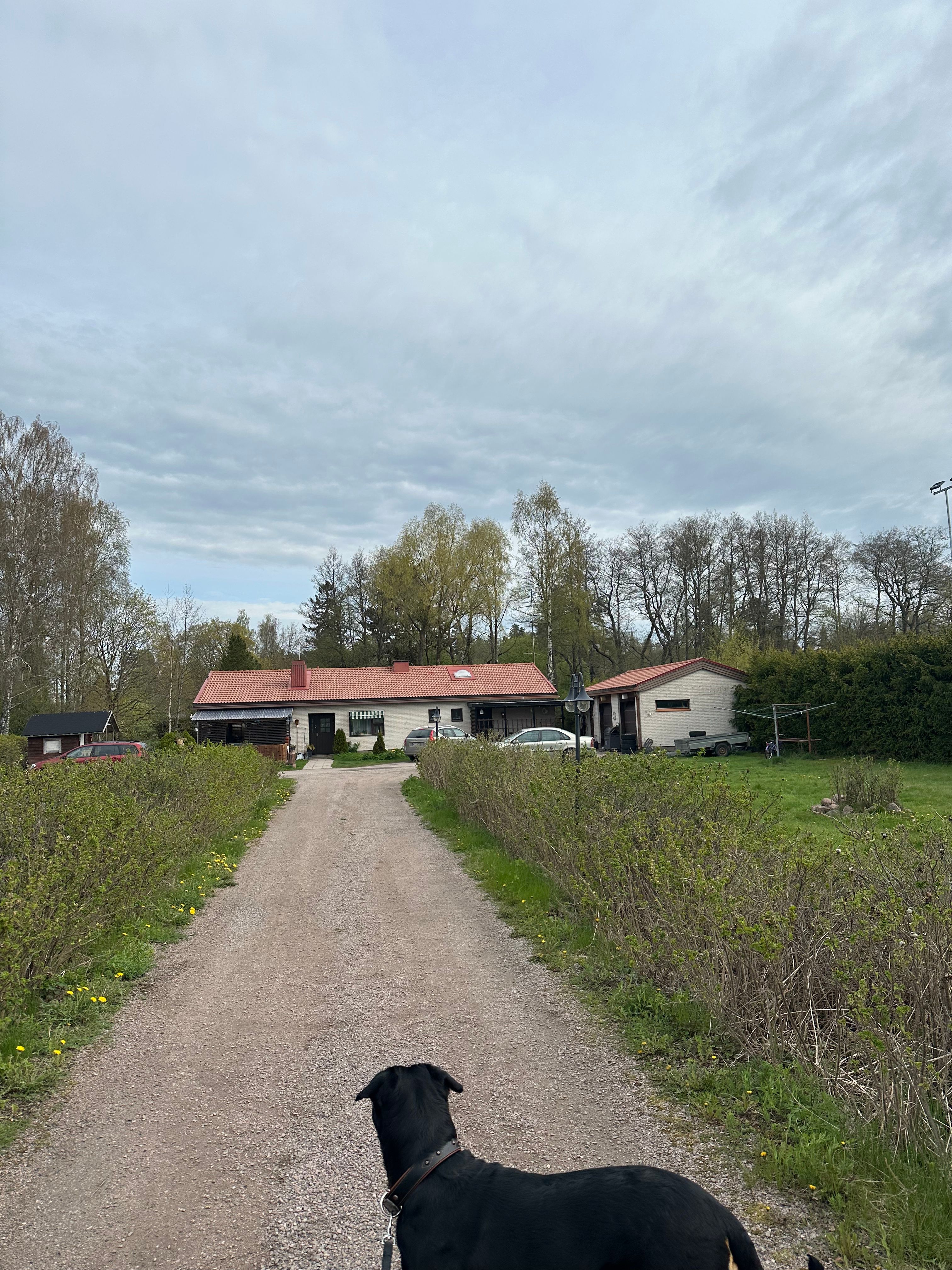 image-27