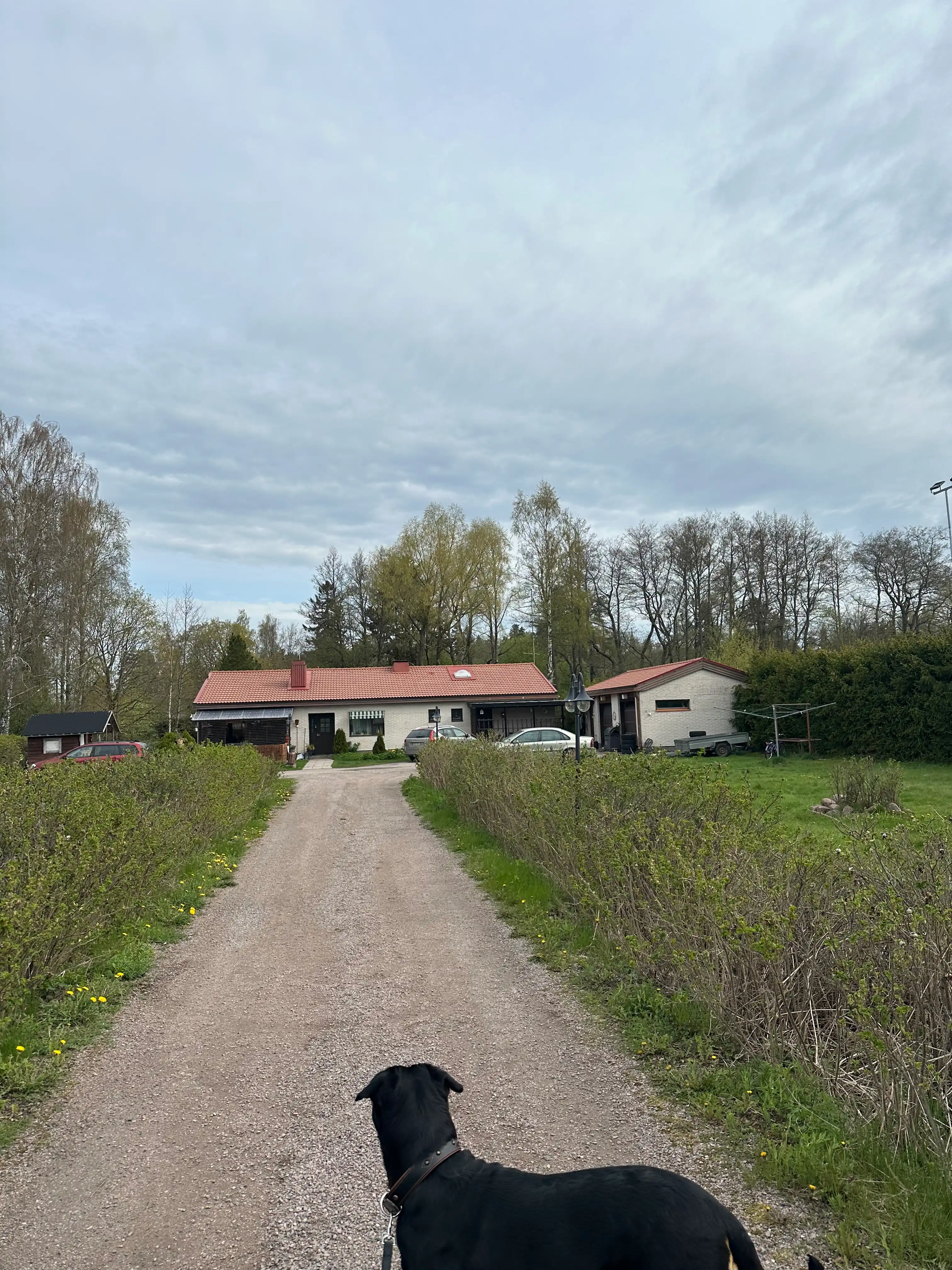 image-27
