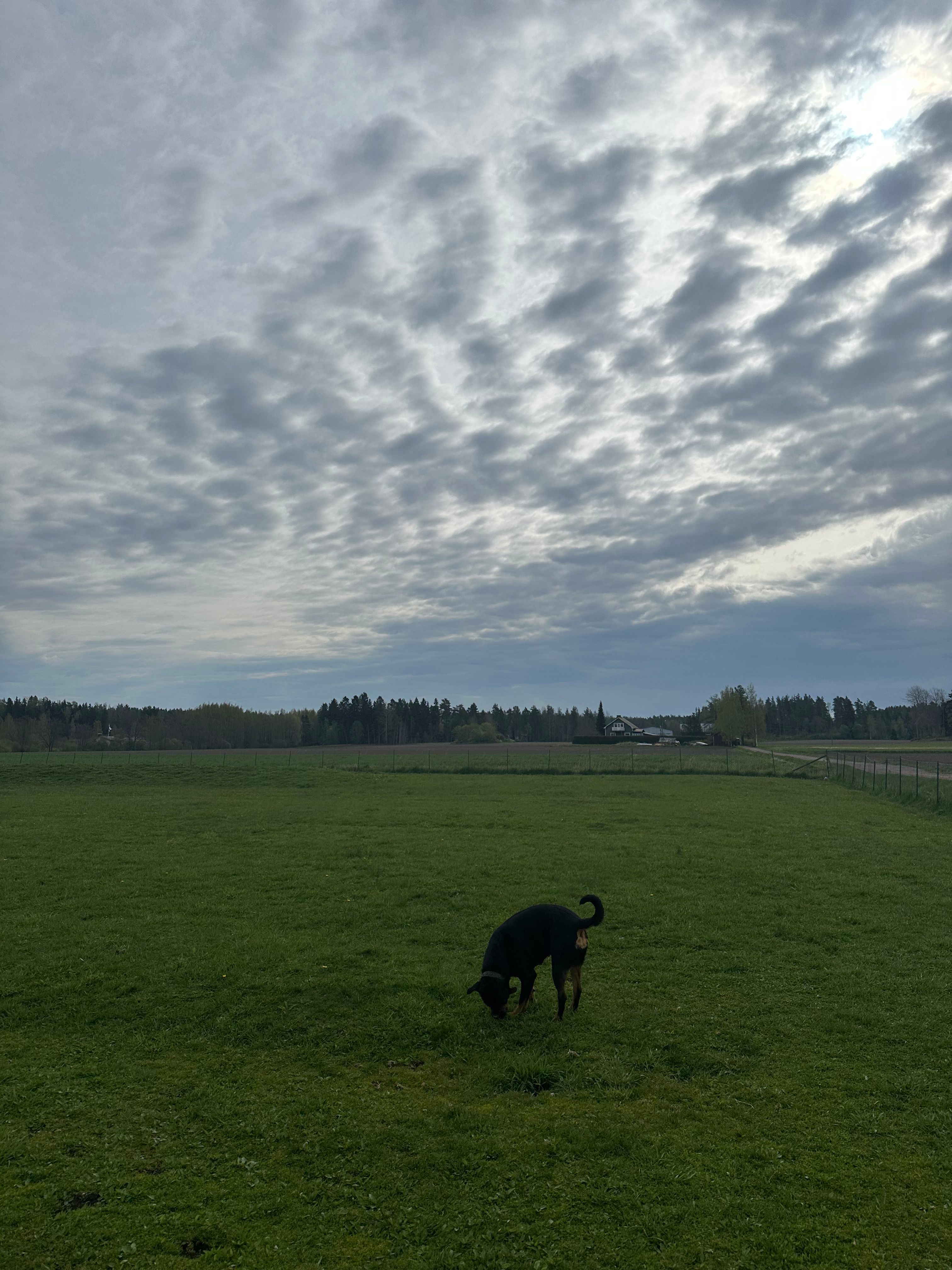 image-29