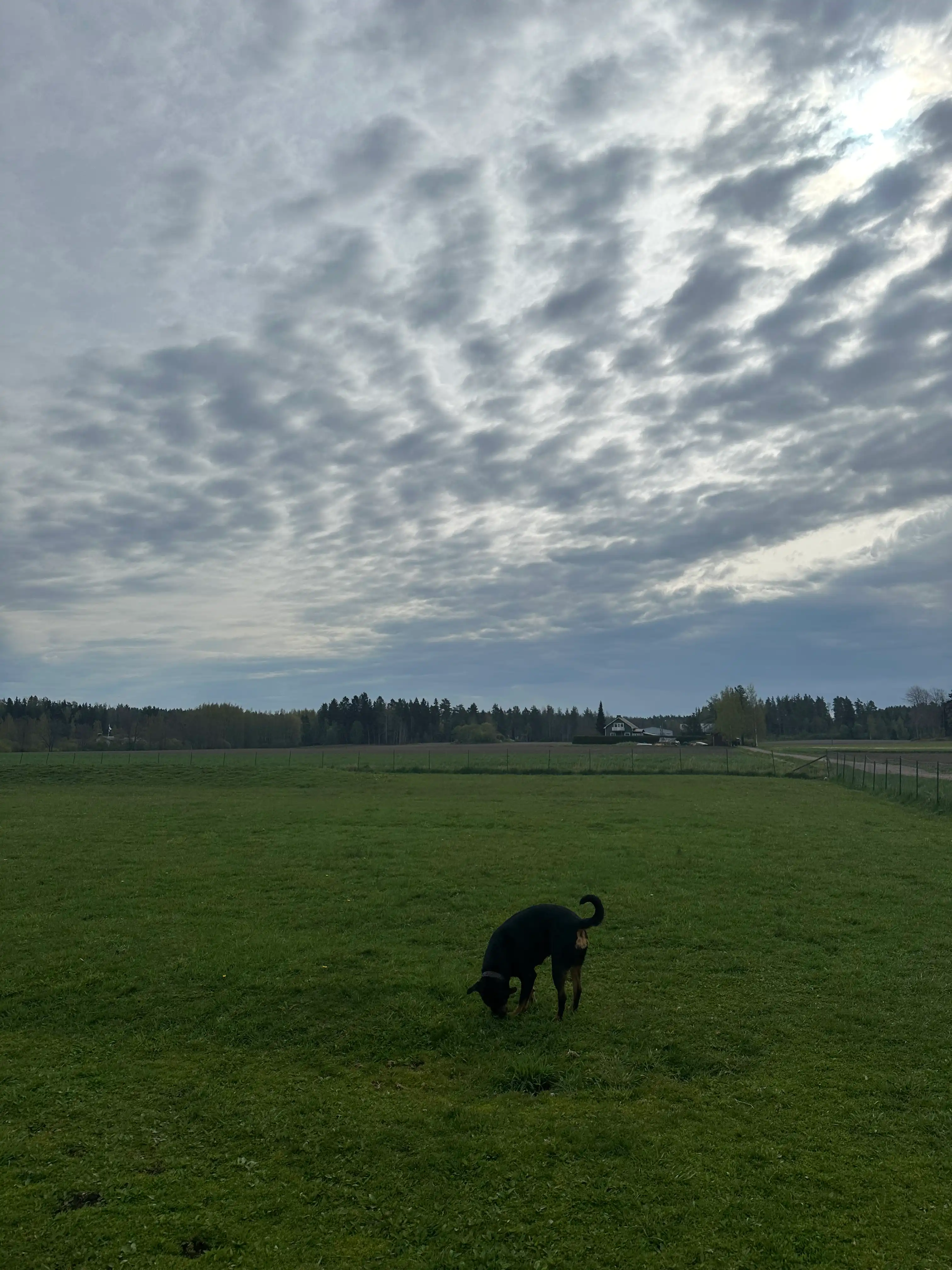image-29