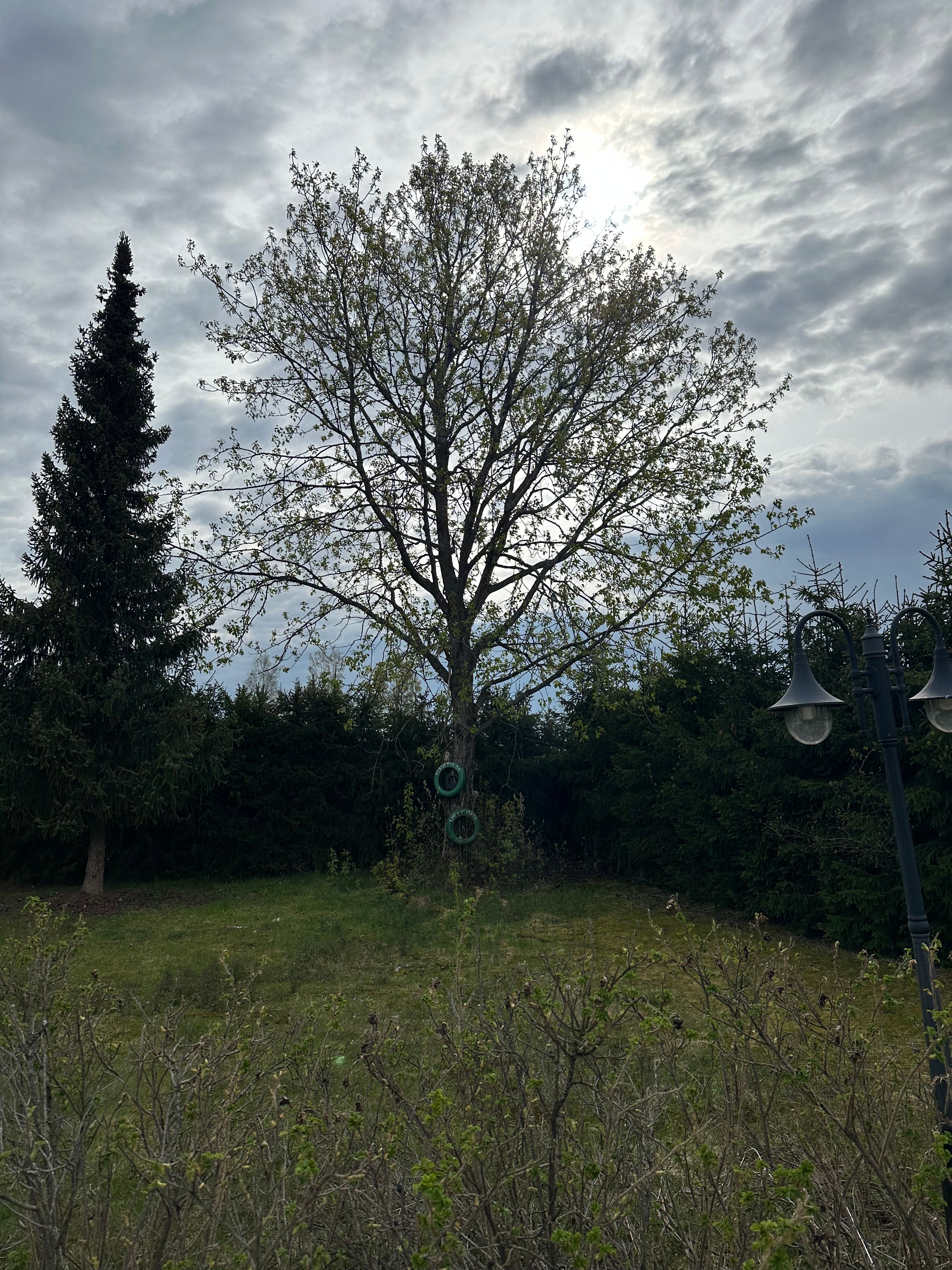 image-28