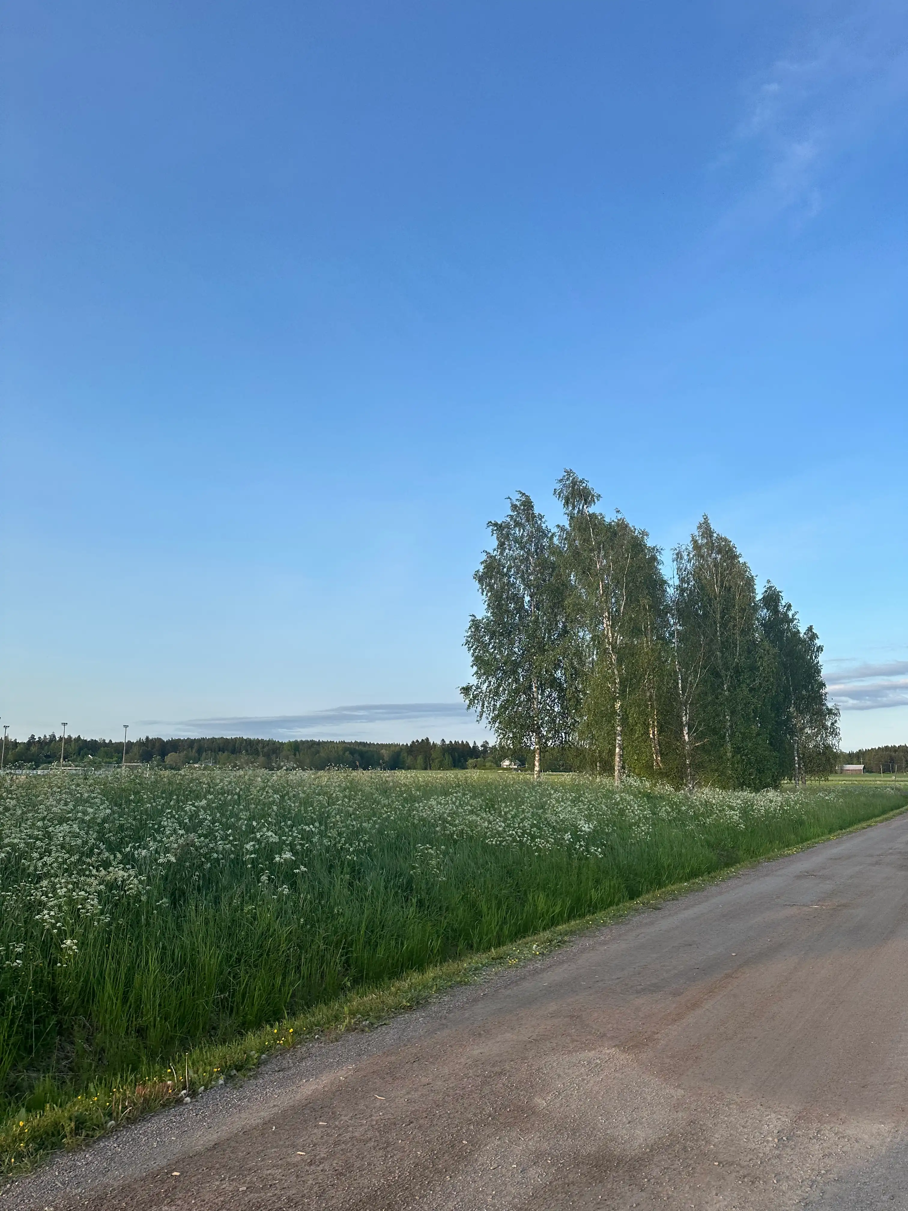 image-36