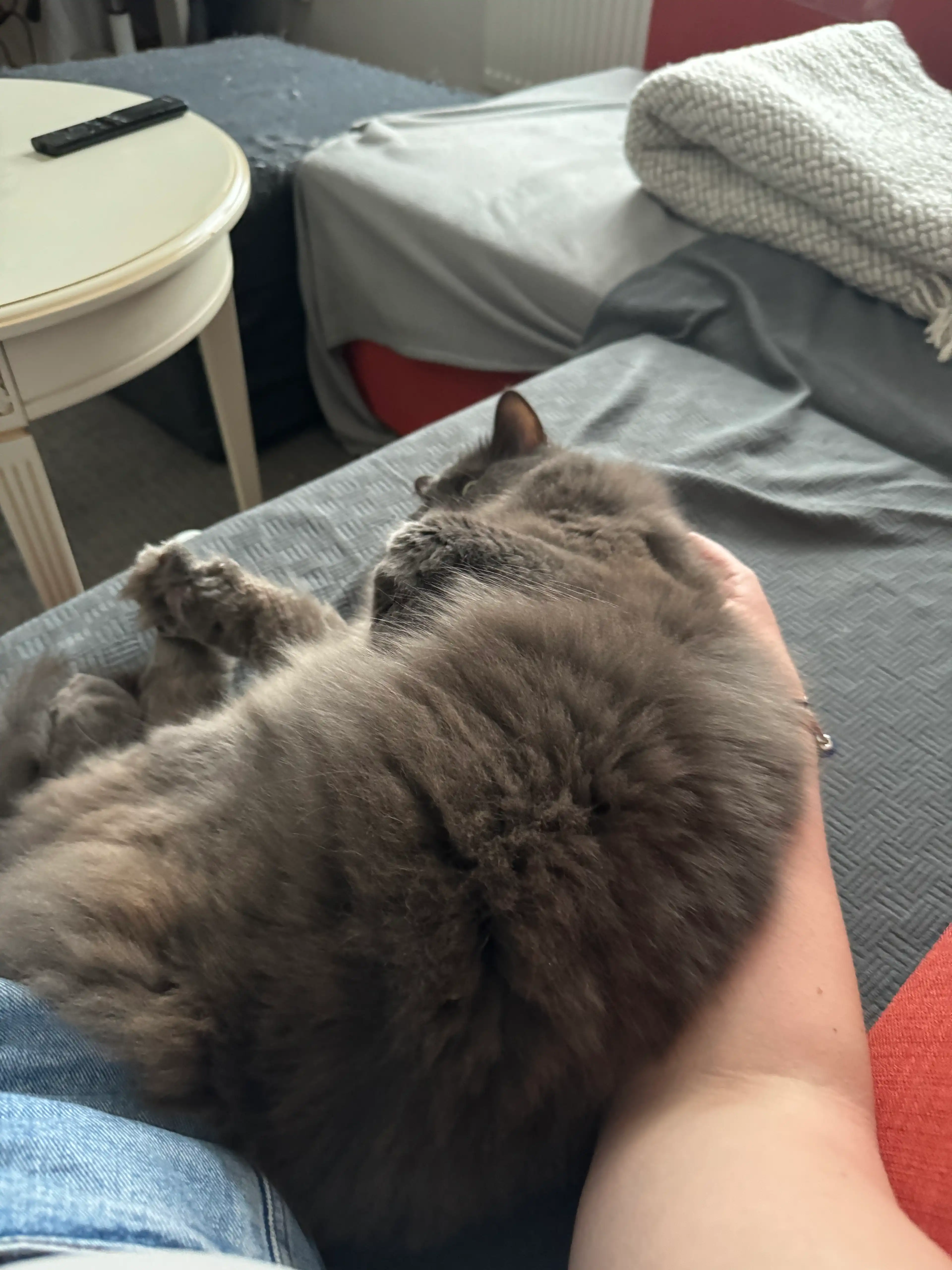image-8