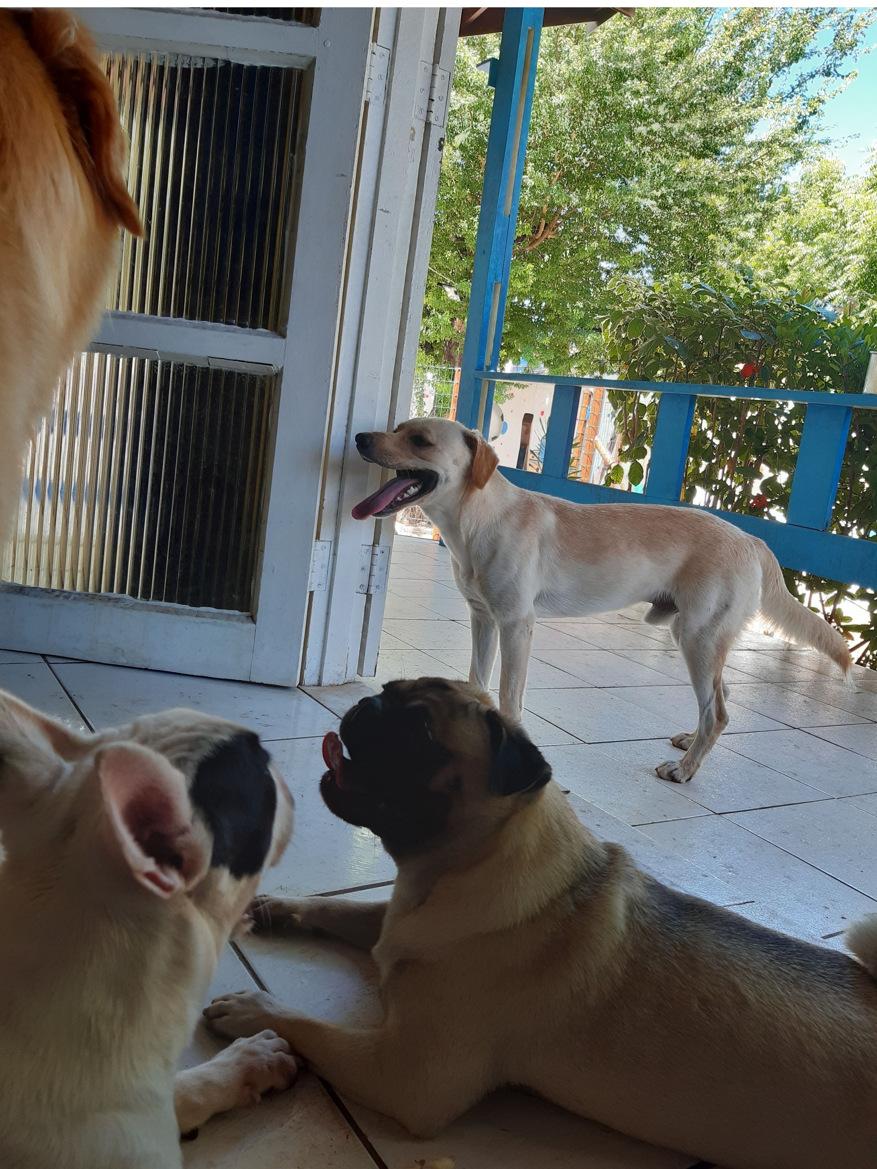 image-27