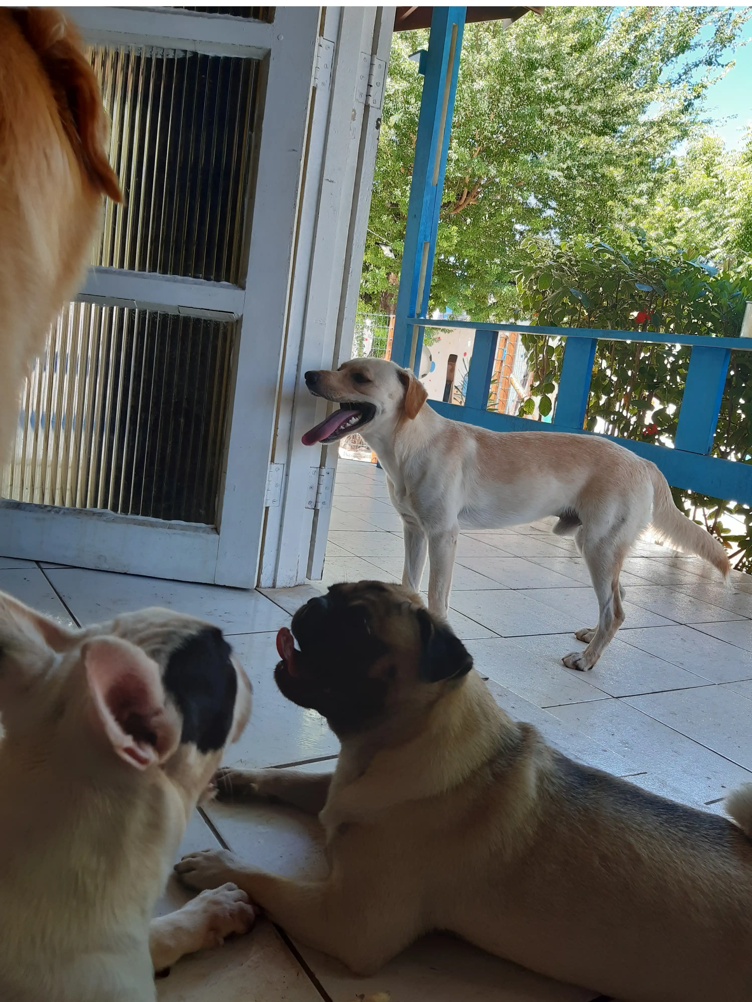image-27
