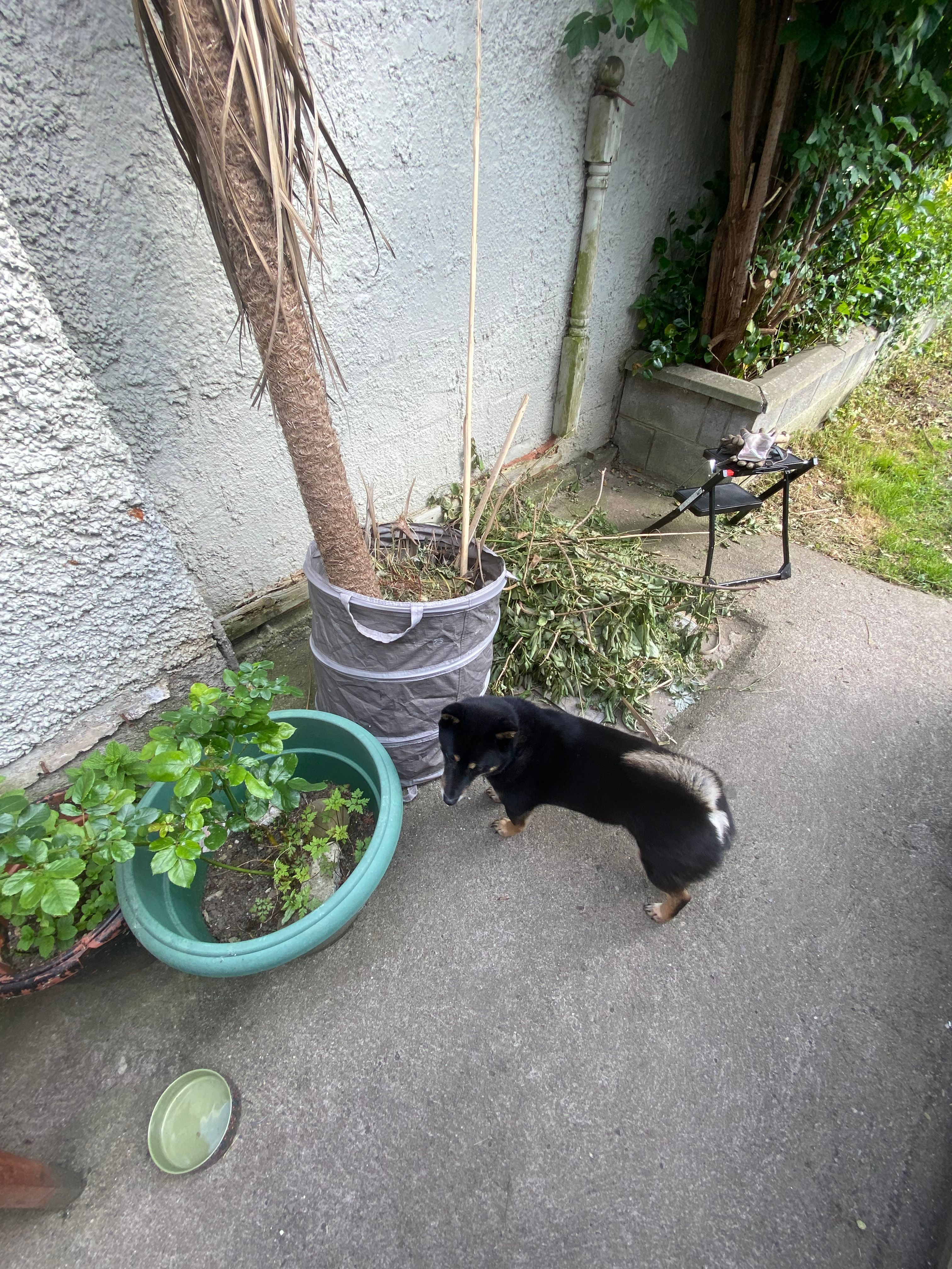 image-13
