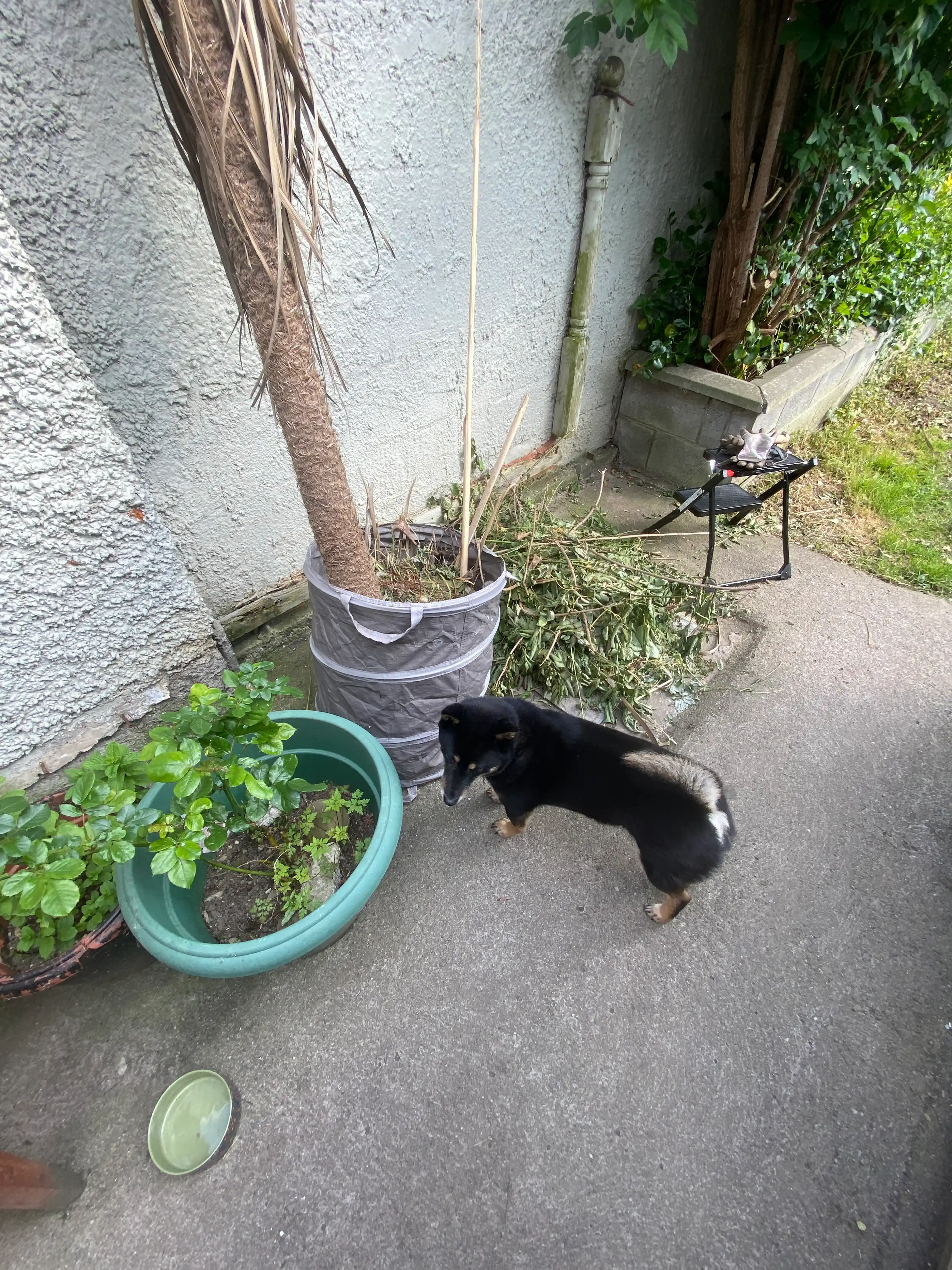 image-13