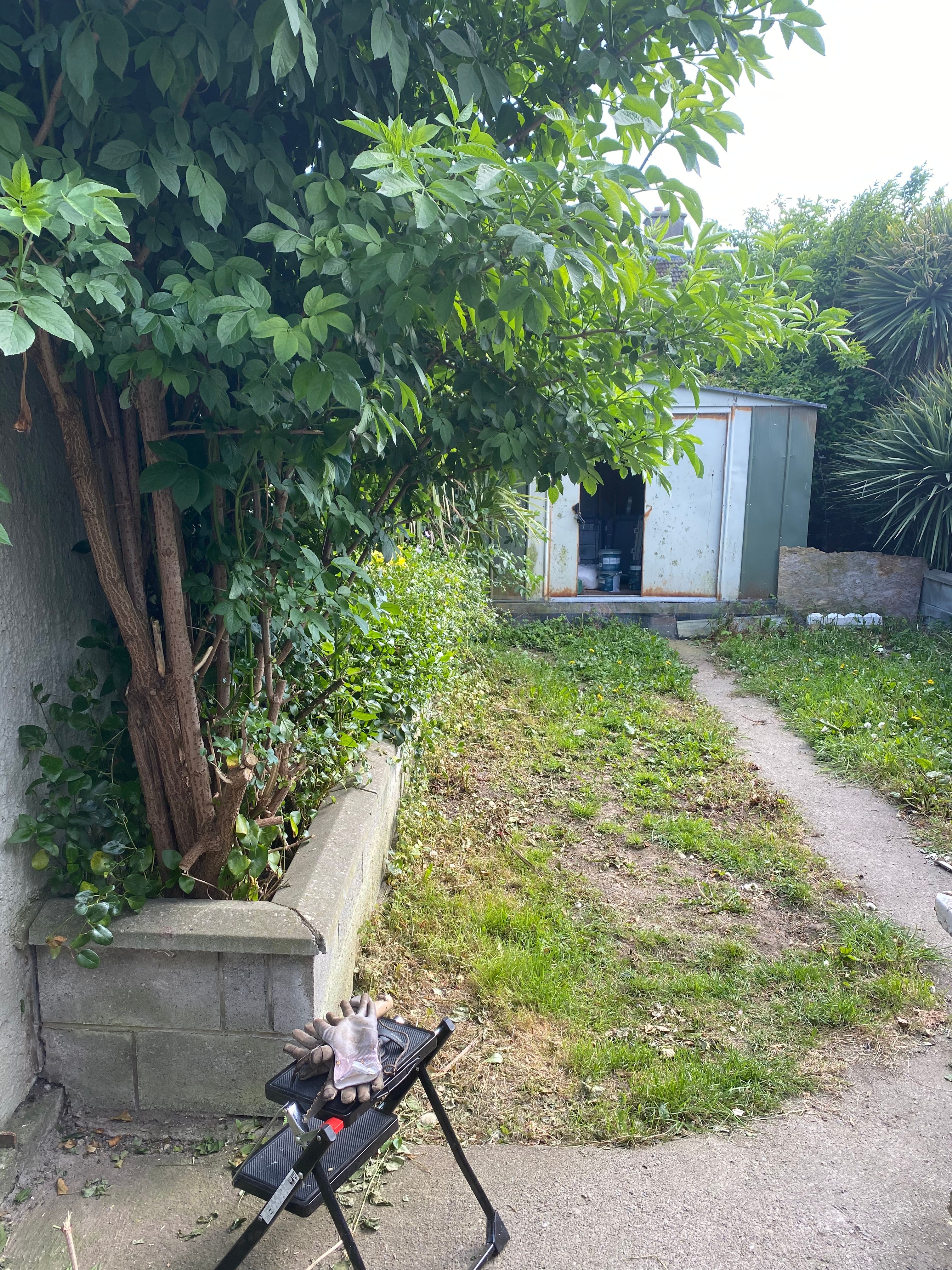 image-15
