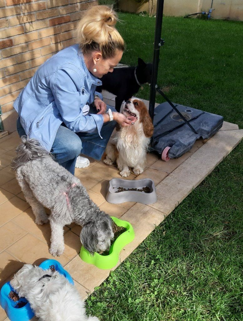 image-34
