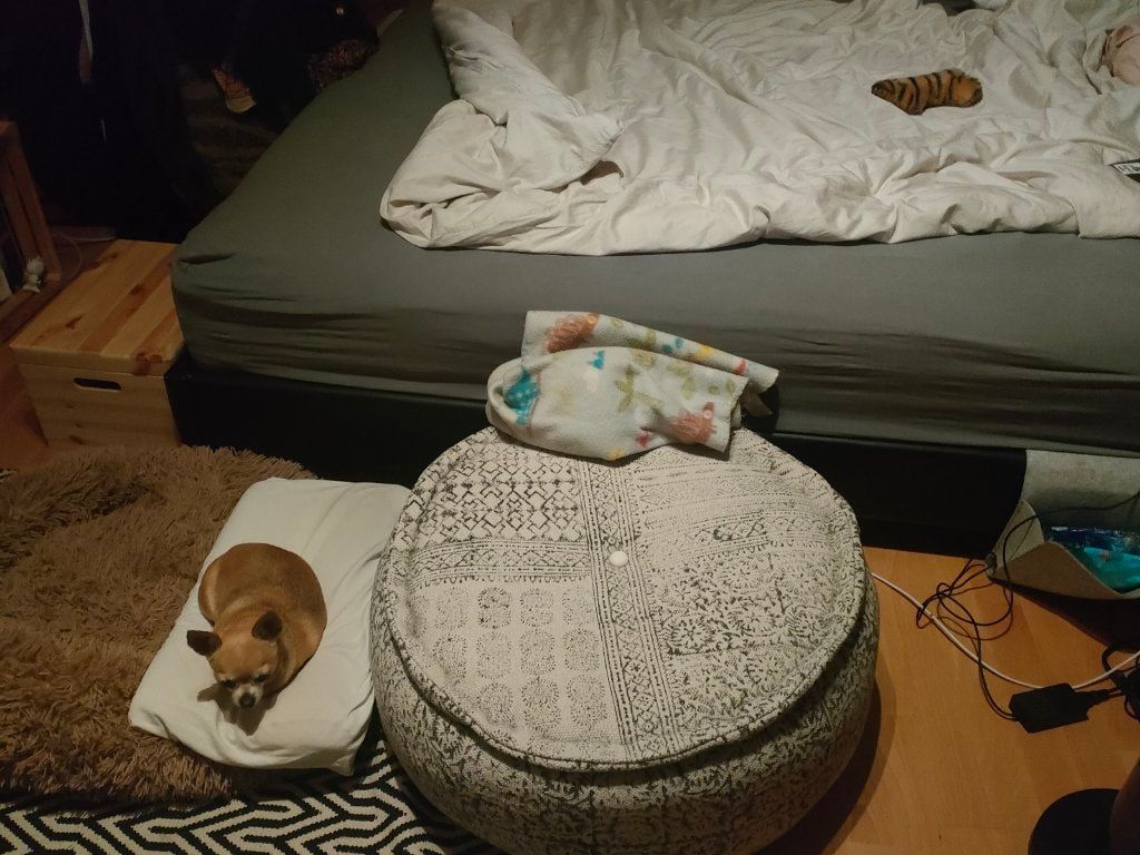image-8