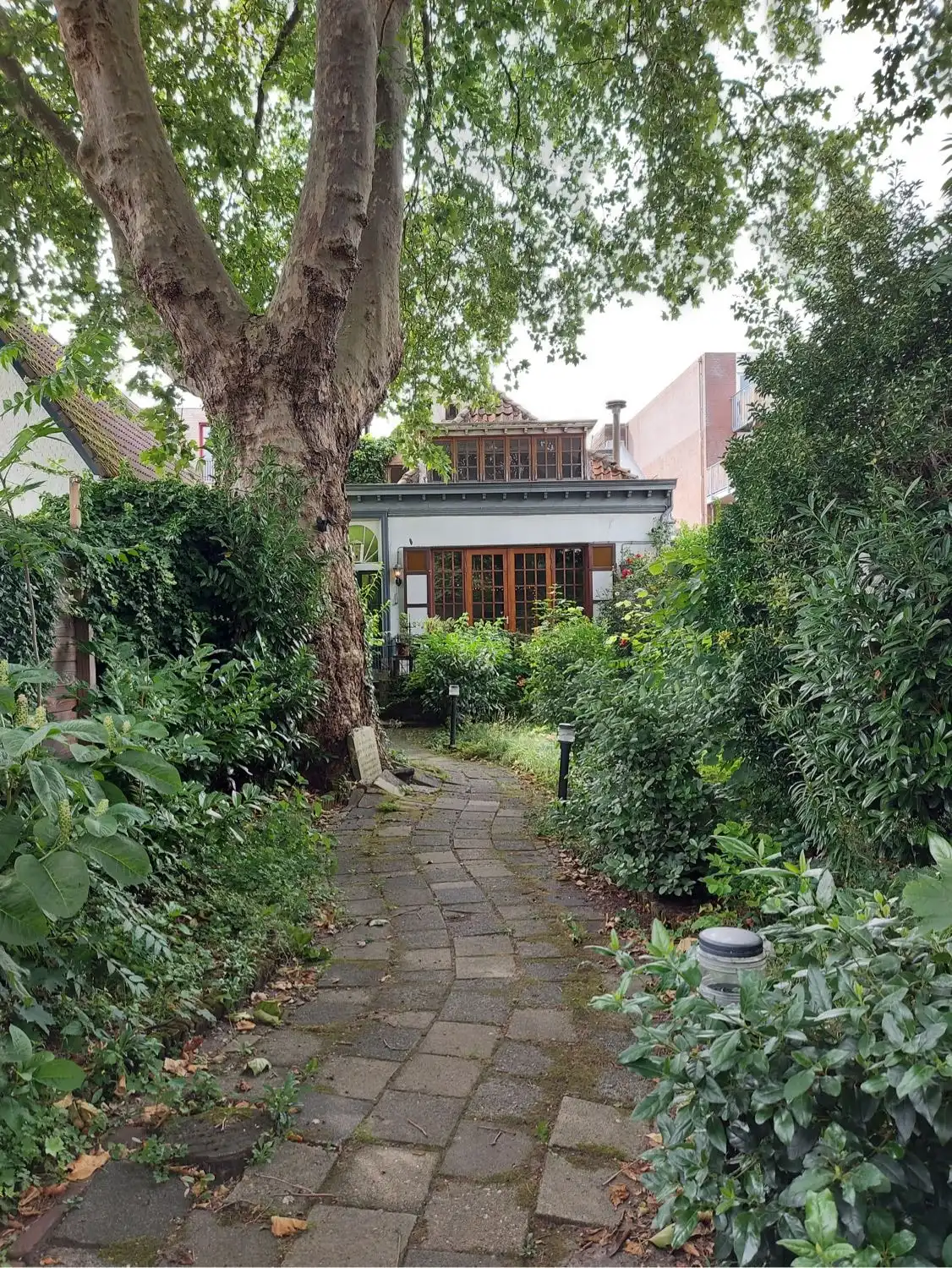 image-10