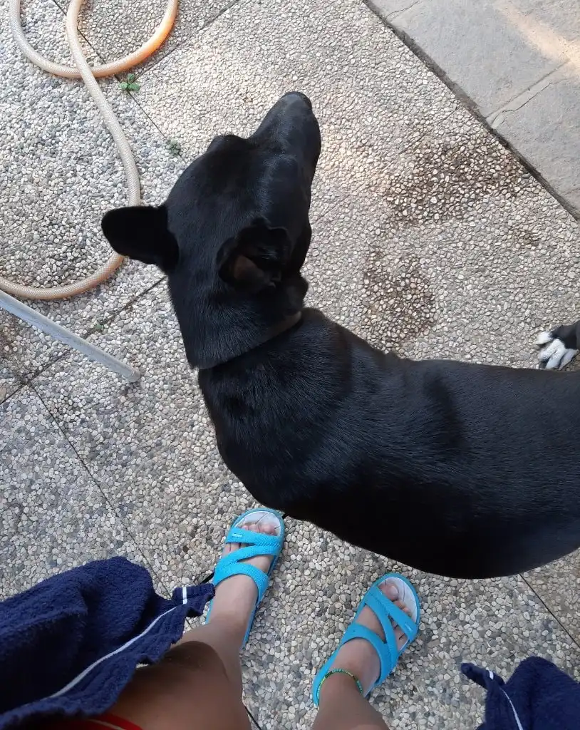 image-7