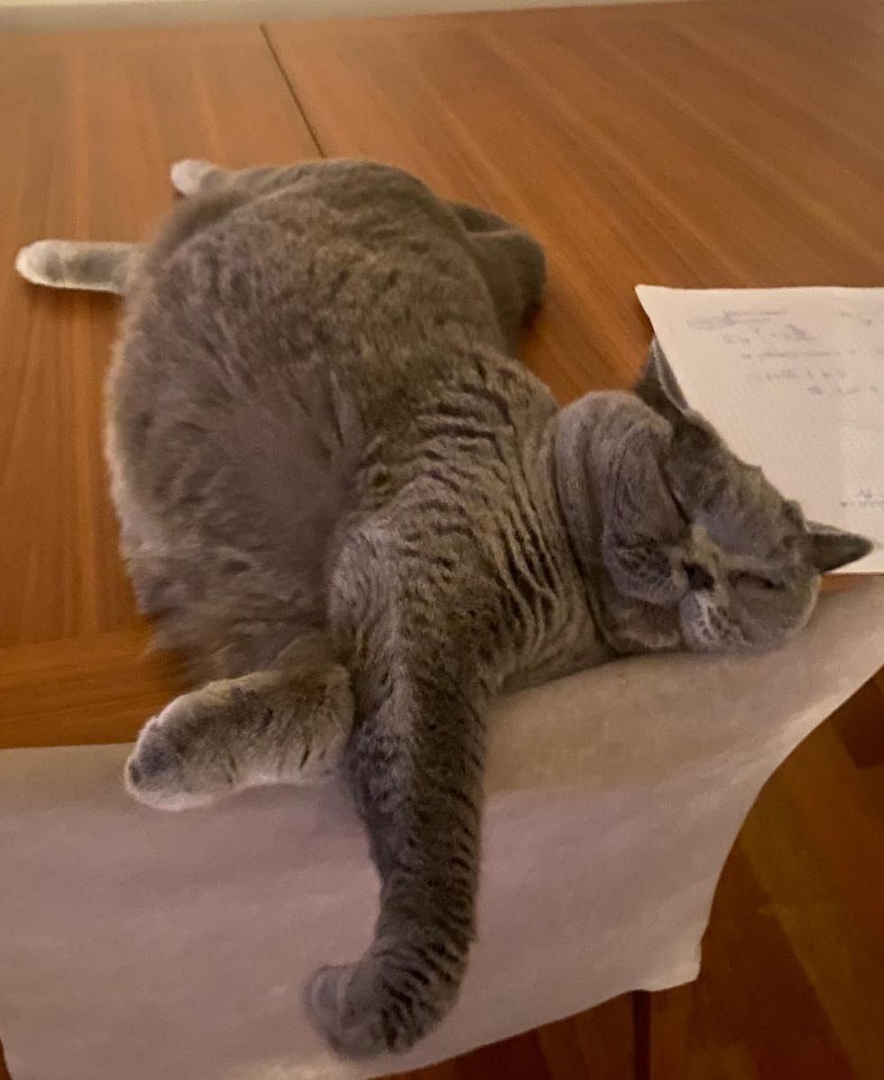 image-9