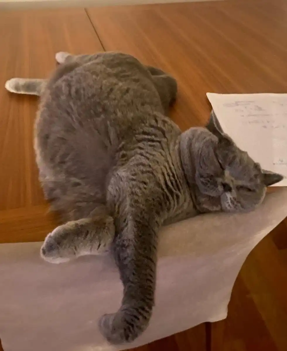 image-9
