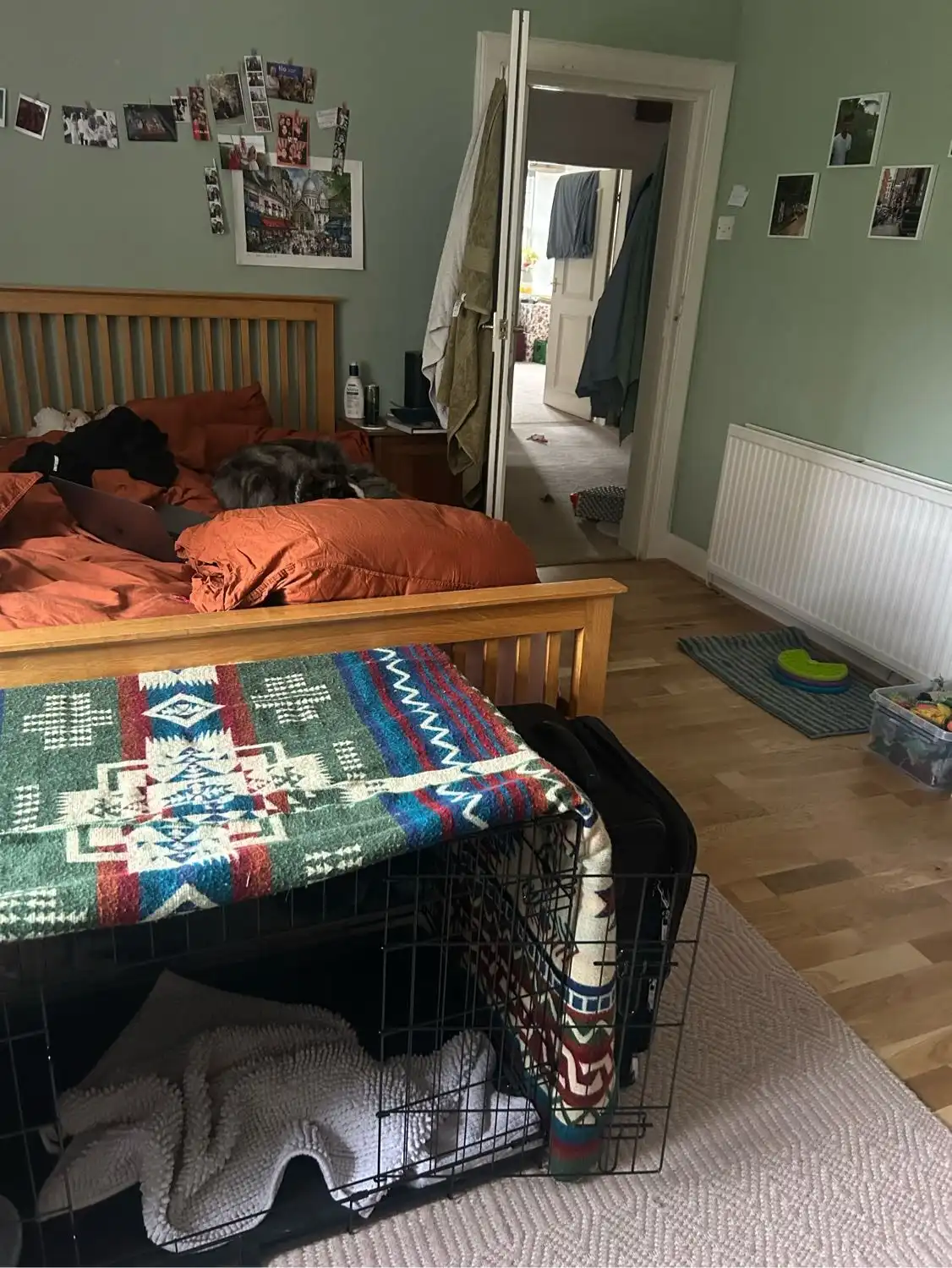 image-11