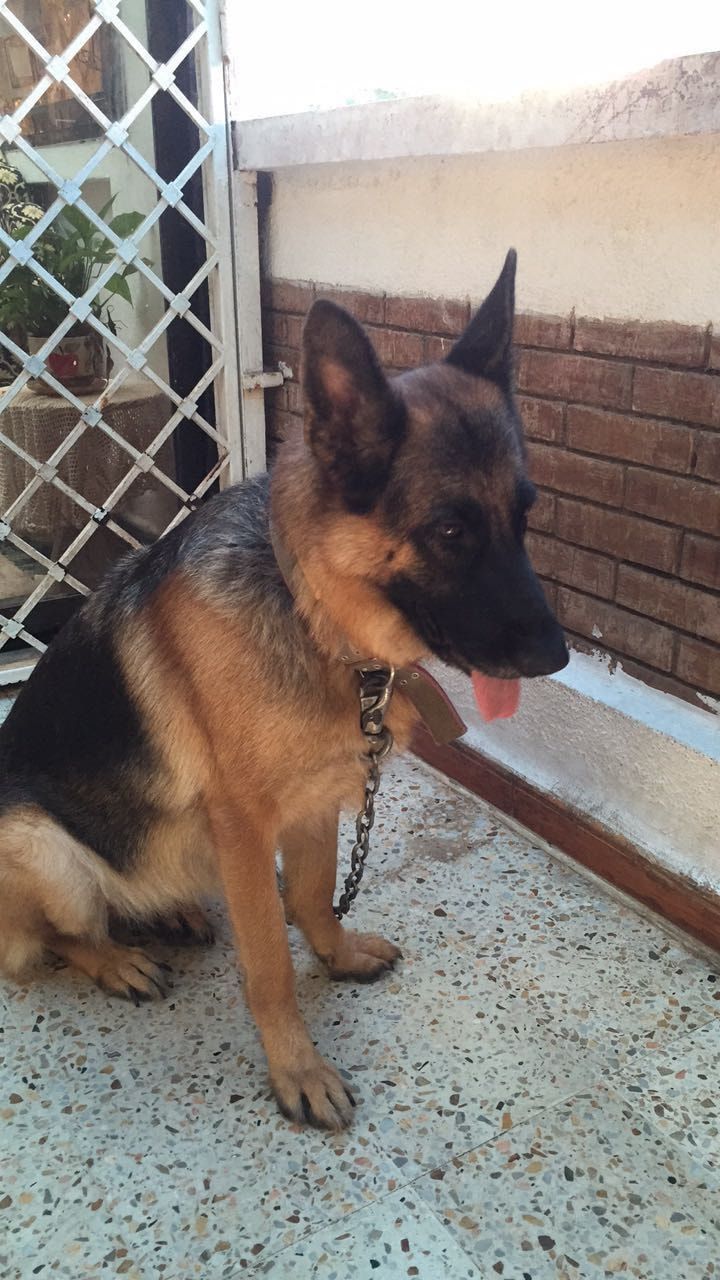 image-4
