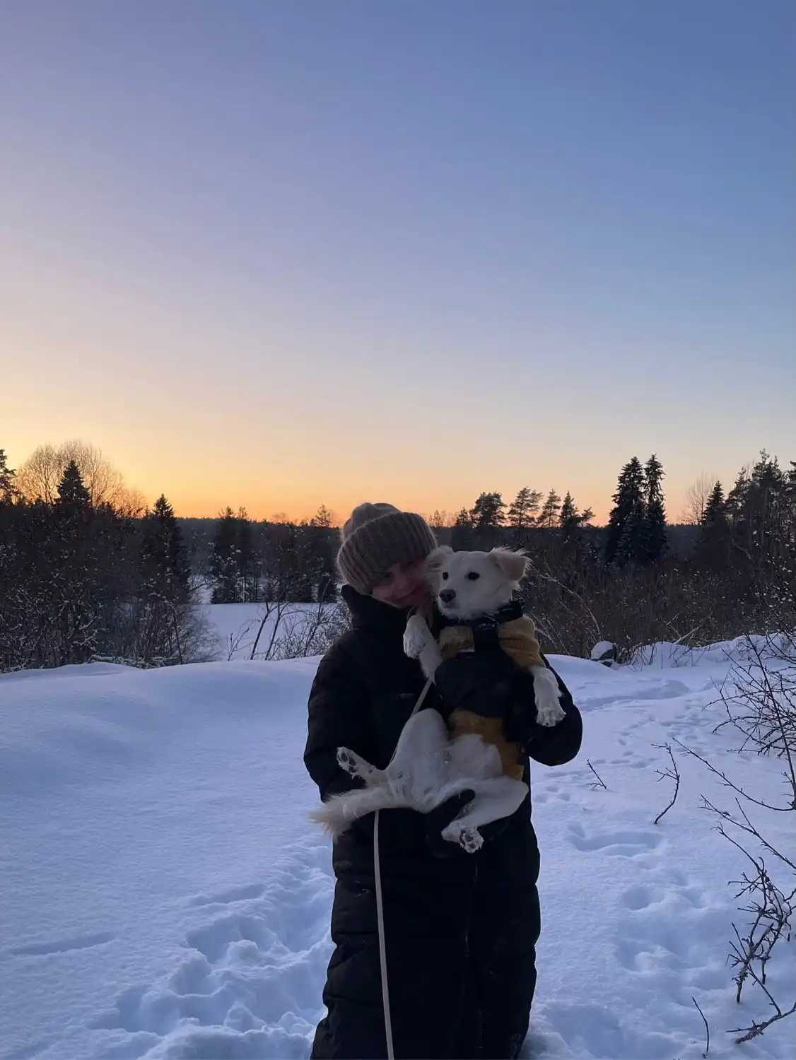 image-7
