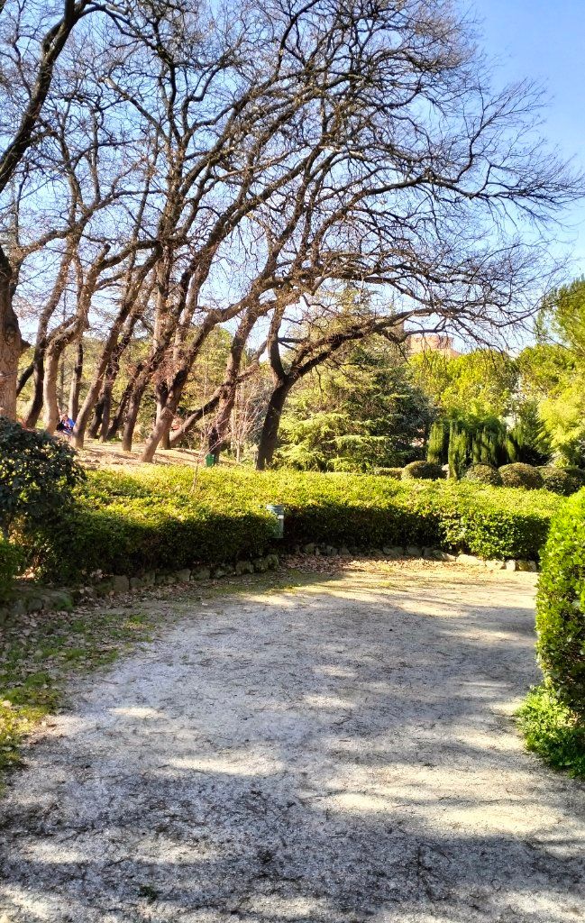 image-19