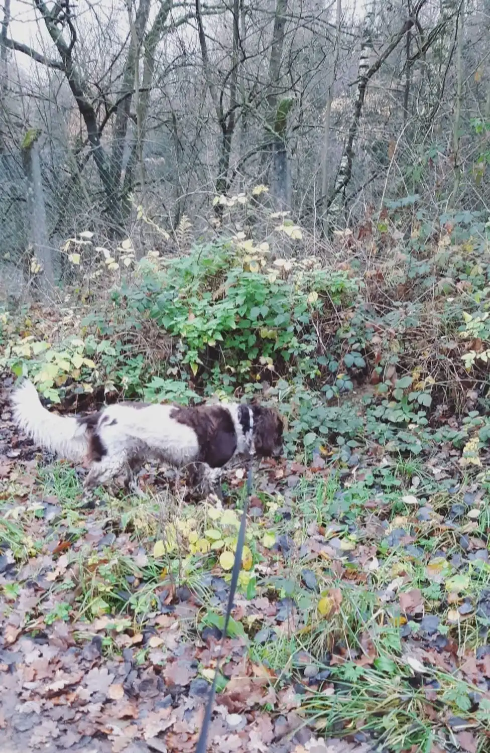 image-6