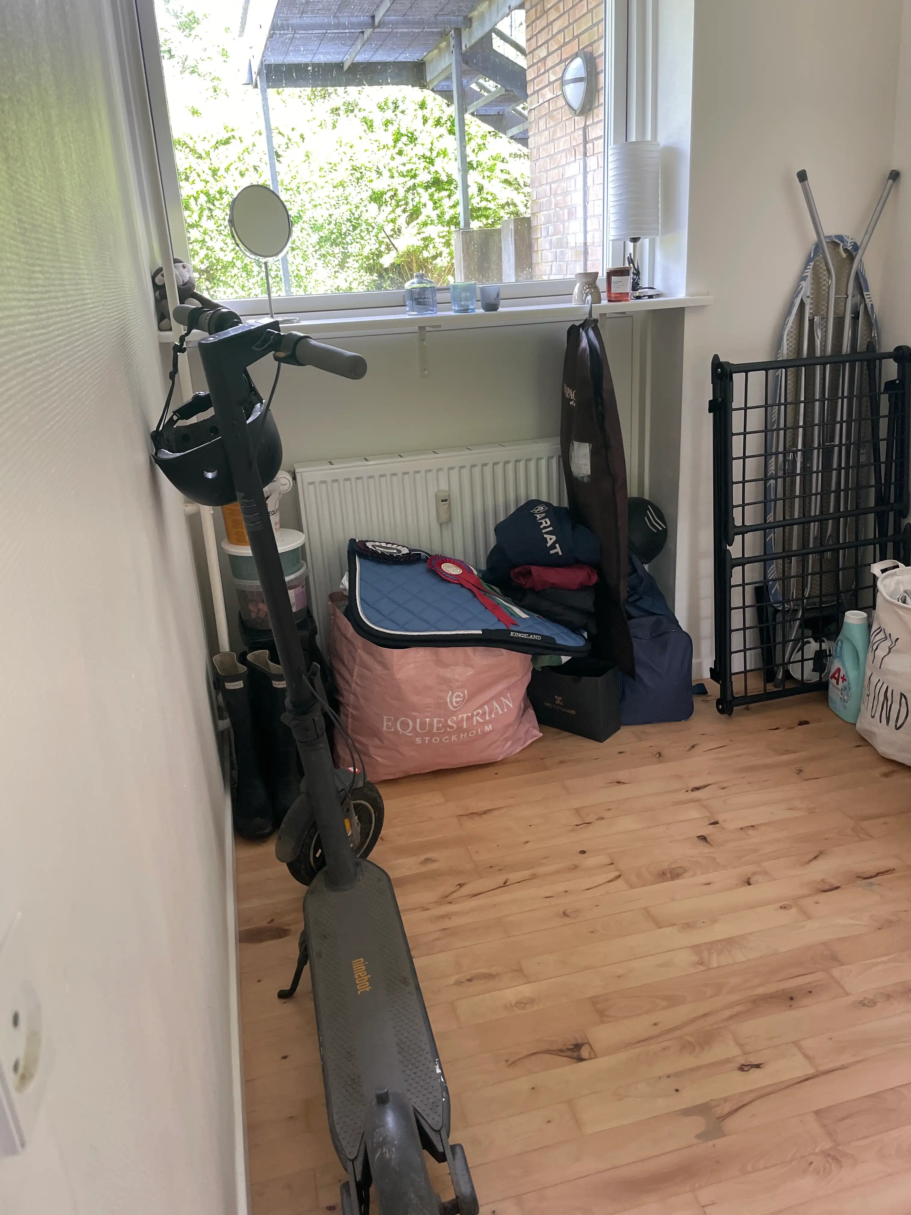 image-21