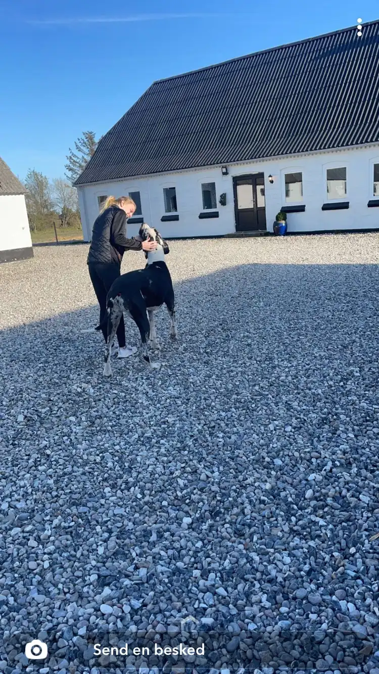 image-8