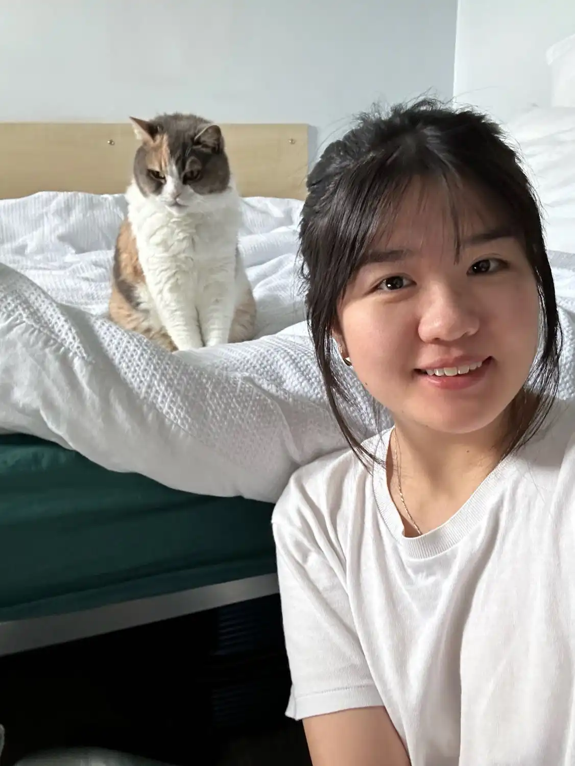 image-5