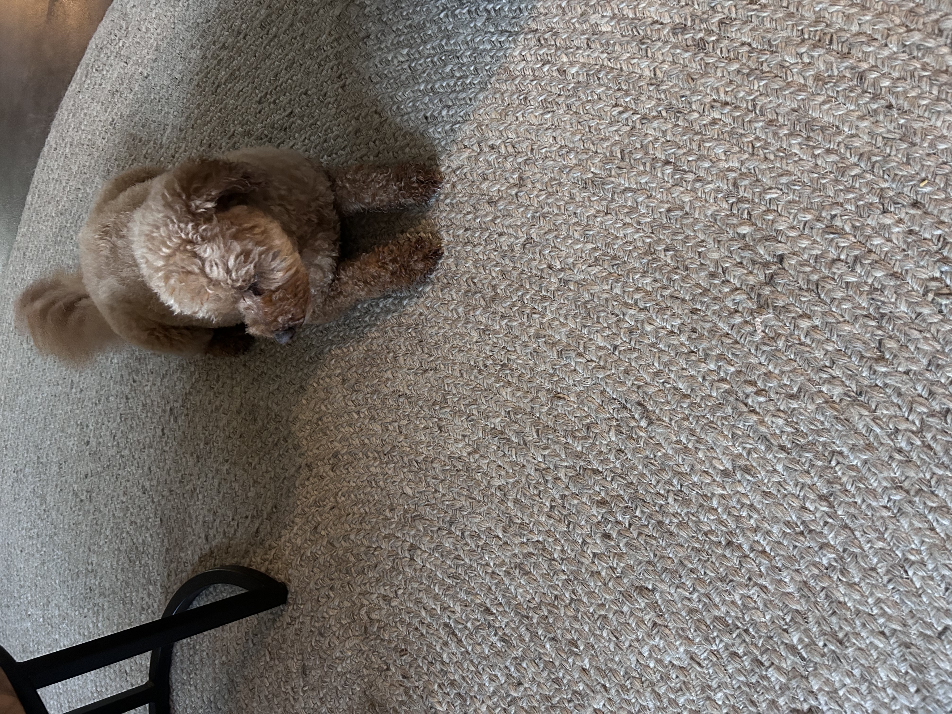 image-5