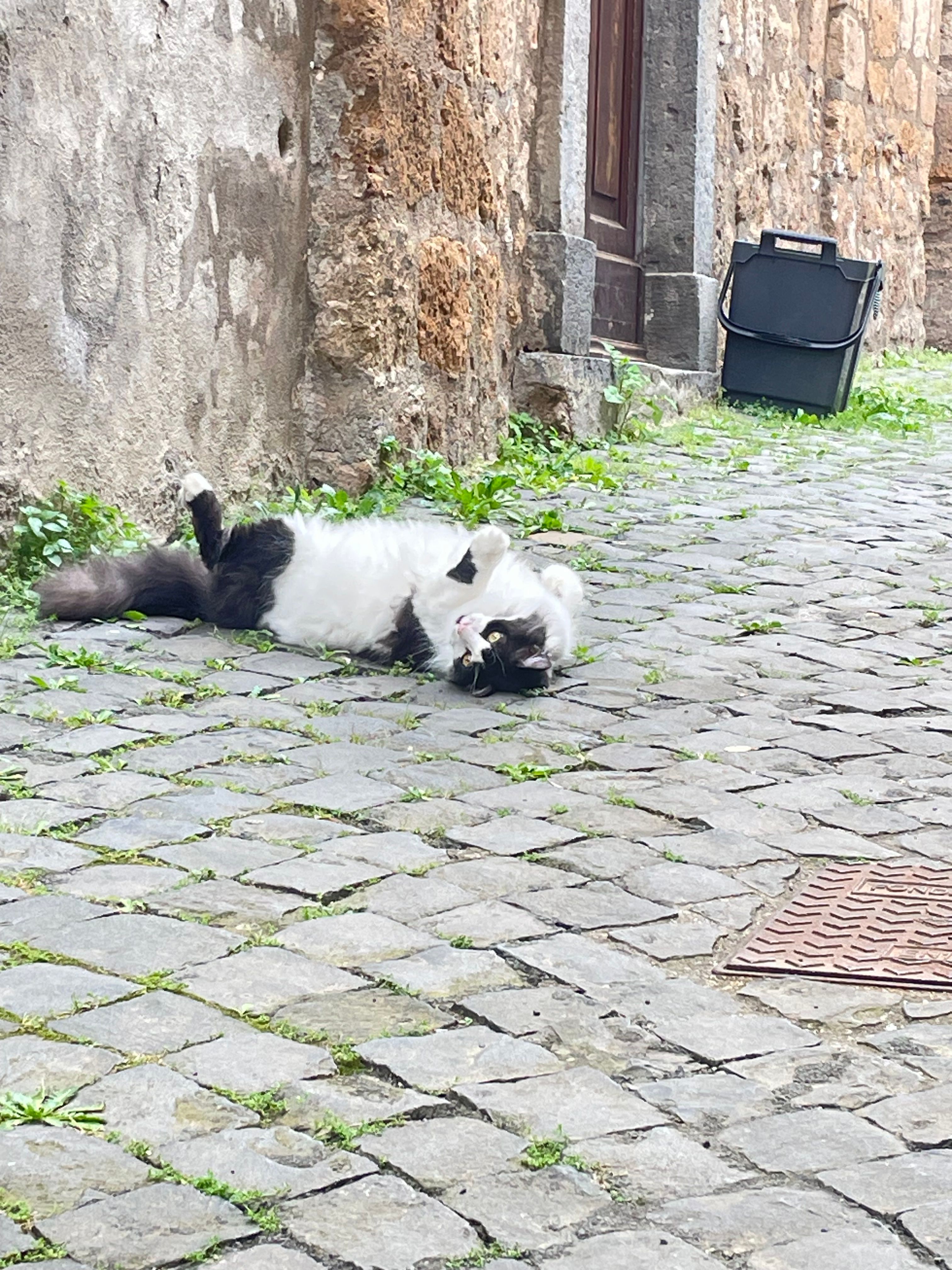 image-10