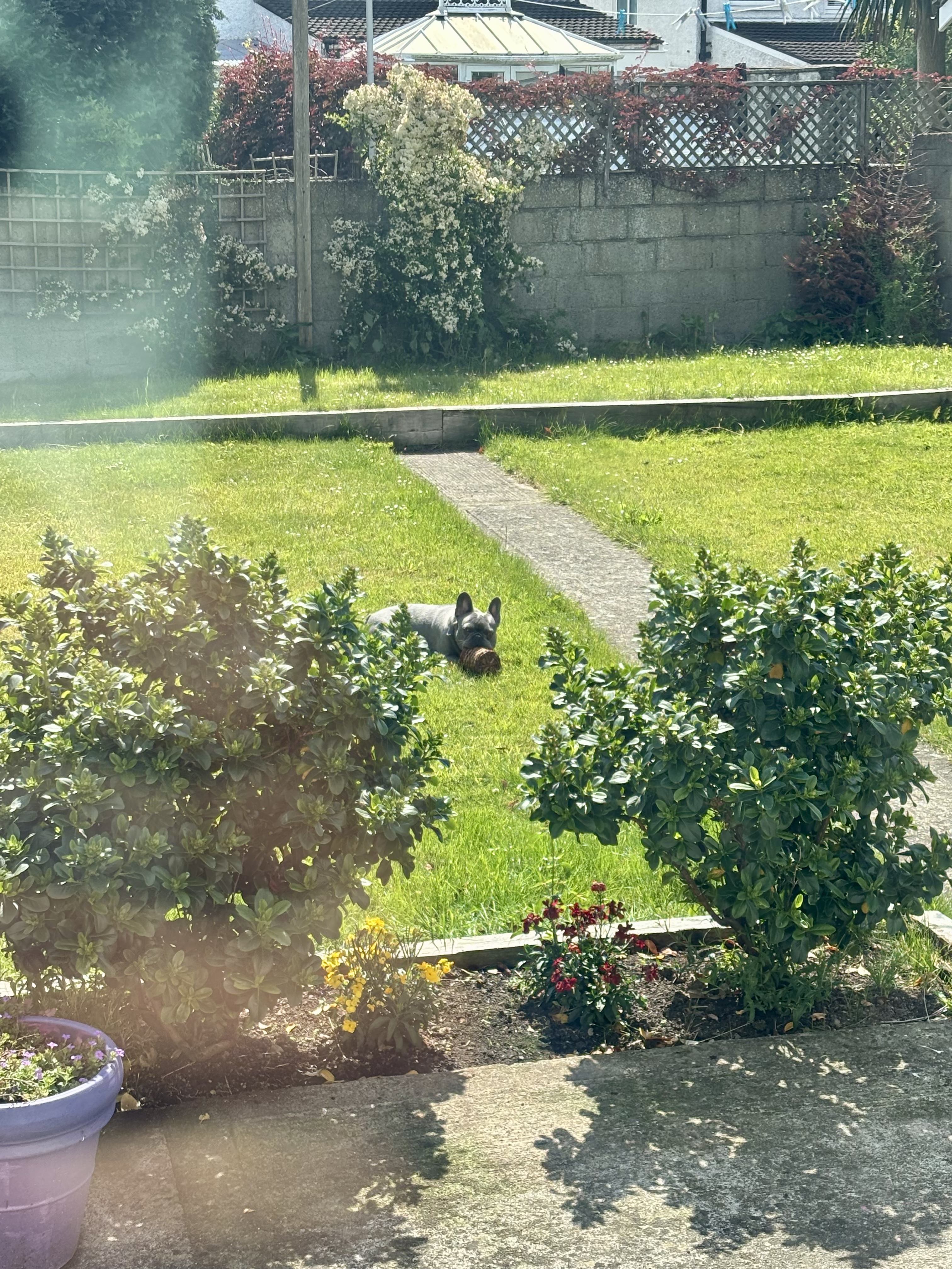 image-16