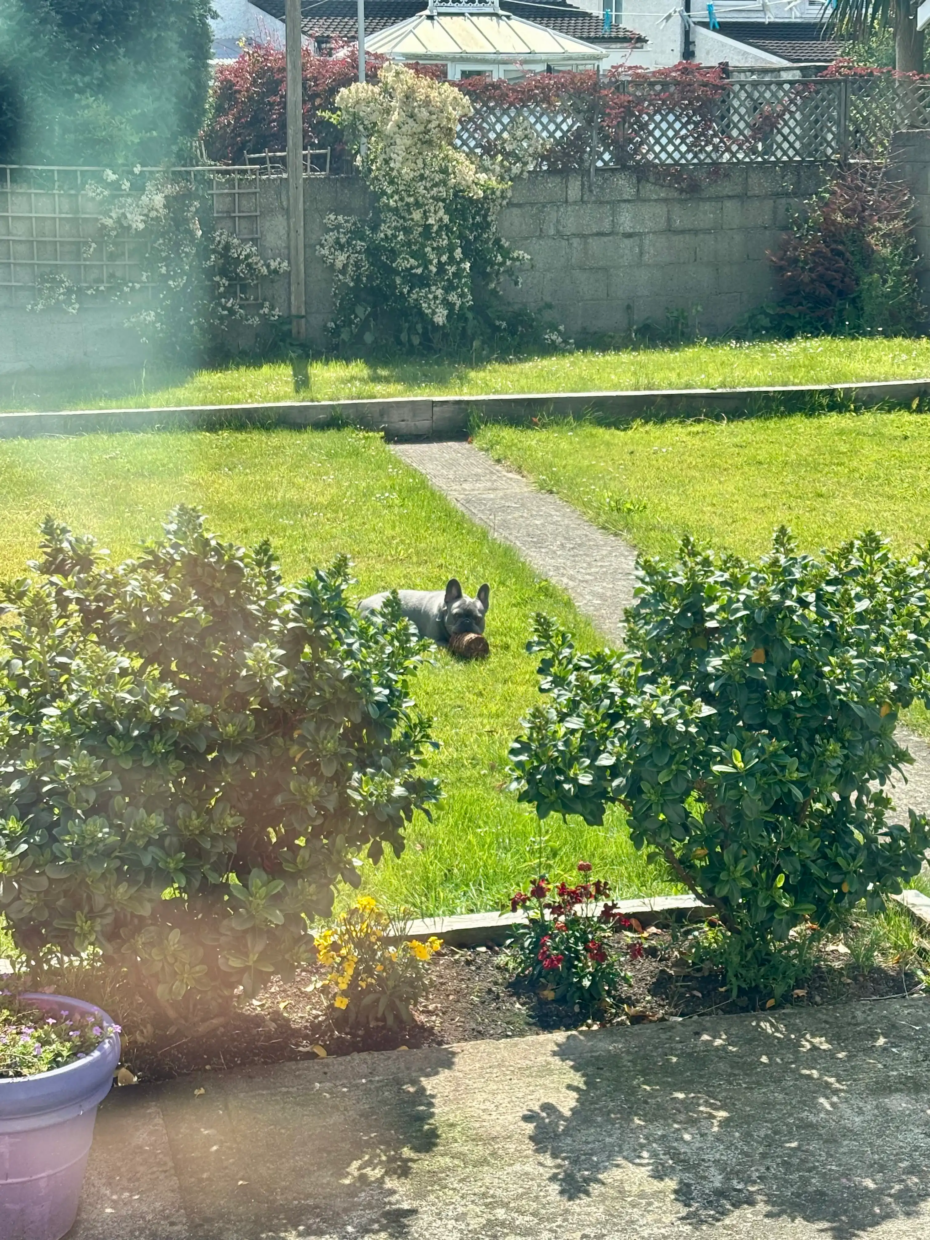 image-16